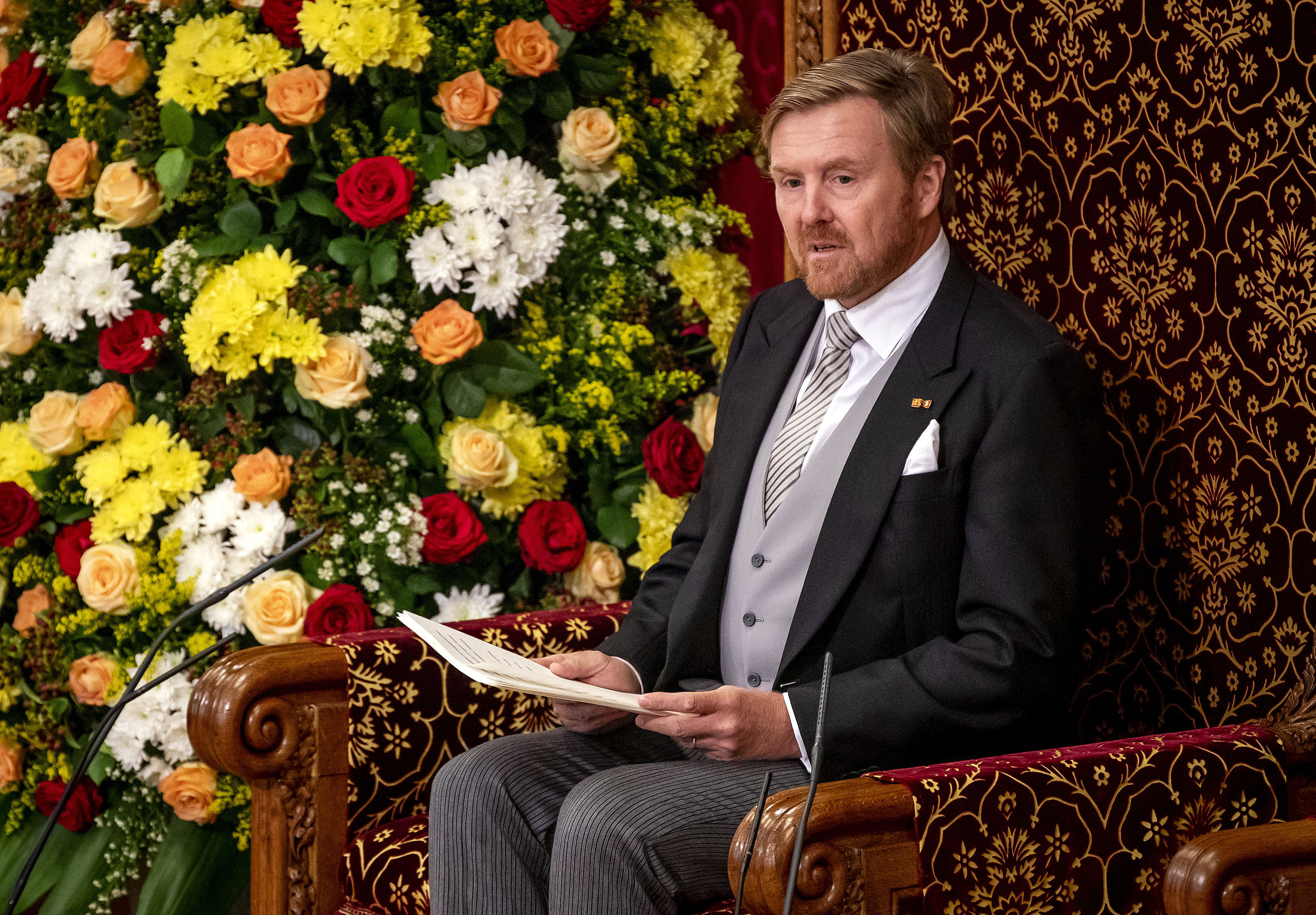 Koning Willem-Alexander leest op Prinsjesdag in de Ridderzaal de troonrede voor aan leden van de Eerste en Tweede Kamer. 