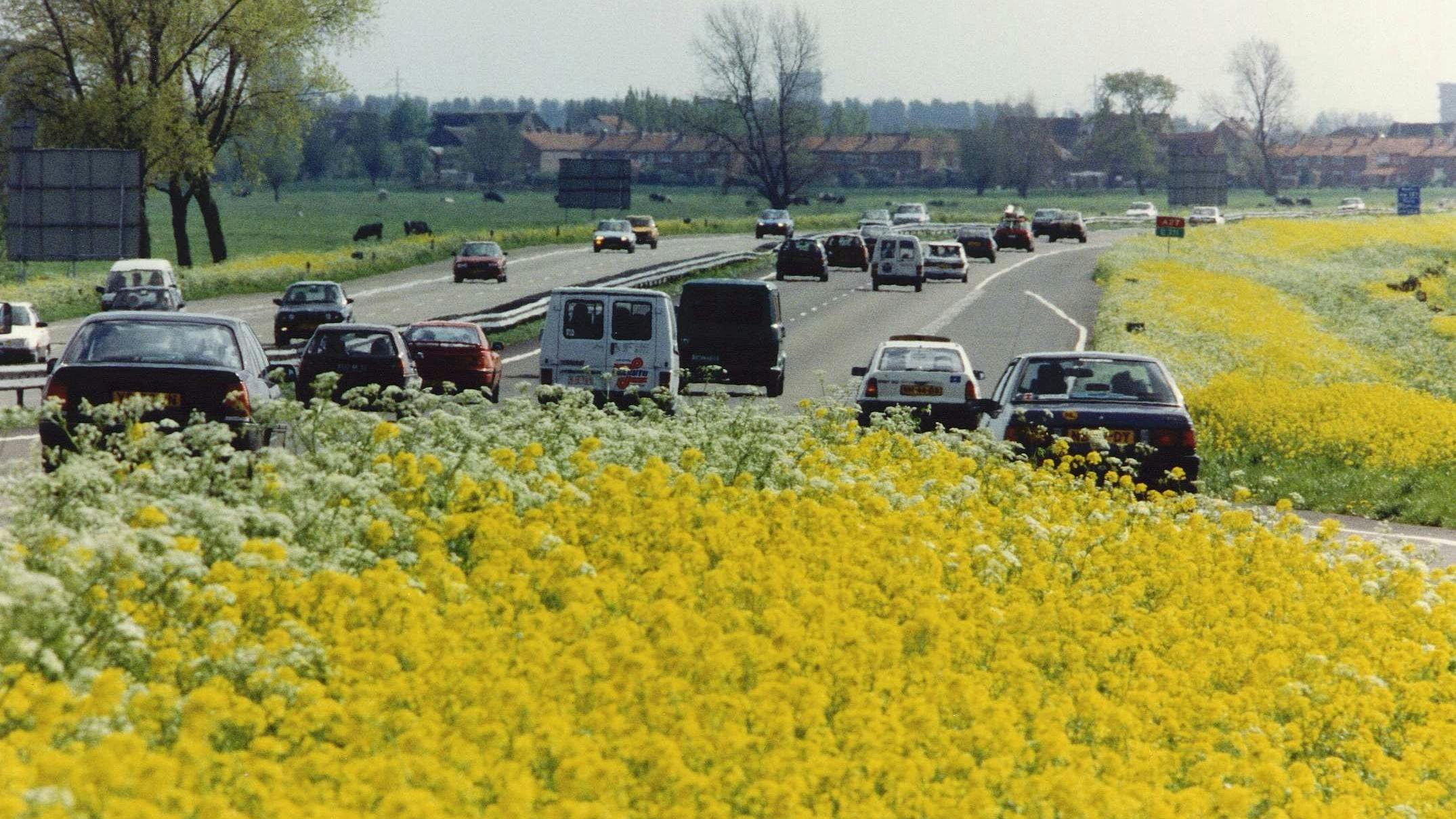 De bermen langs de snelweg in bloei