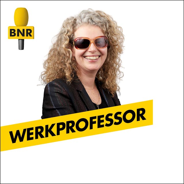 Werkprofessor