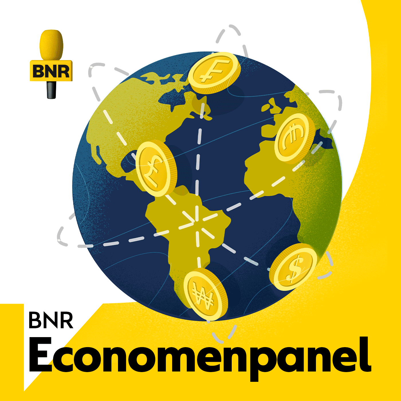 BNR Economenpanel