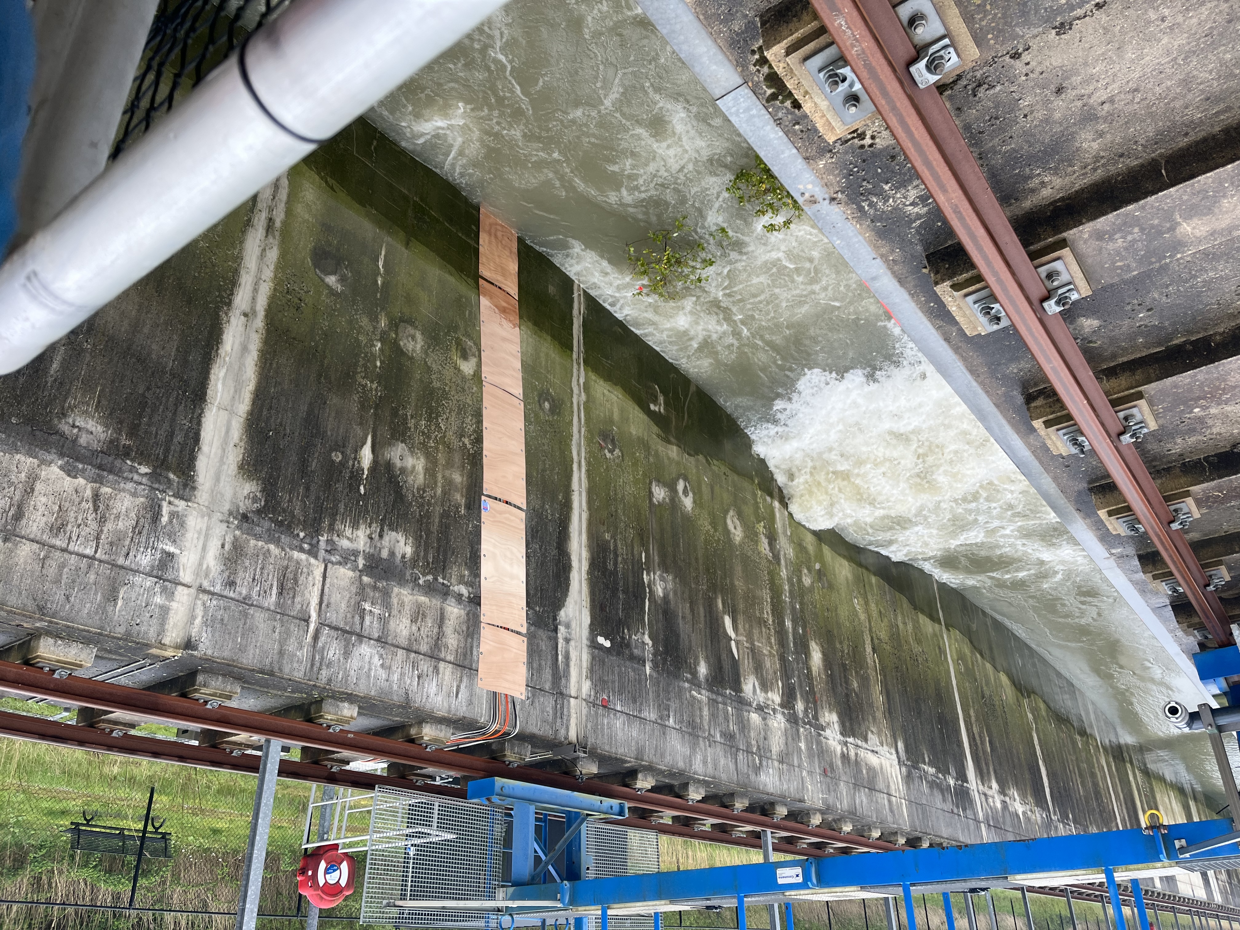 Uit eerder onderzoek blijkt dat wilgen de veiligheid van het hele water niet kunnen garanderen, maar wel golven kunnen verminderen.  