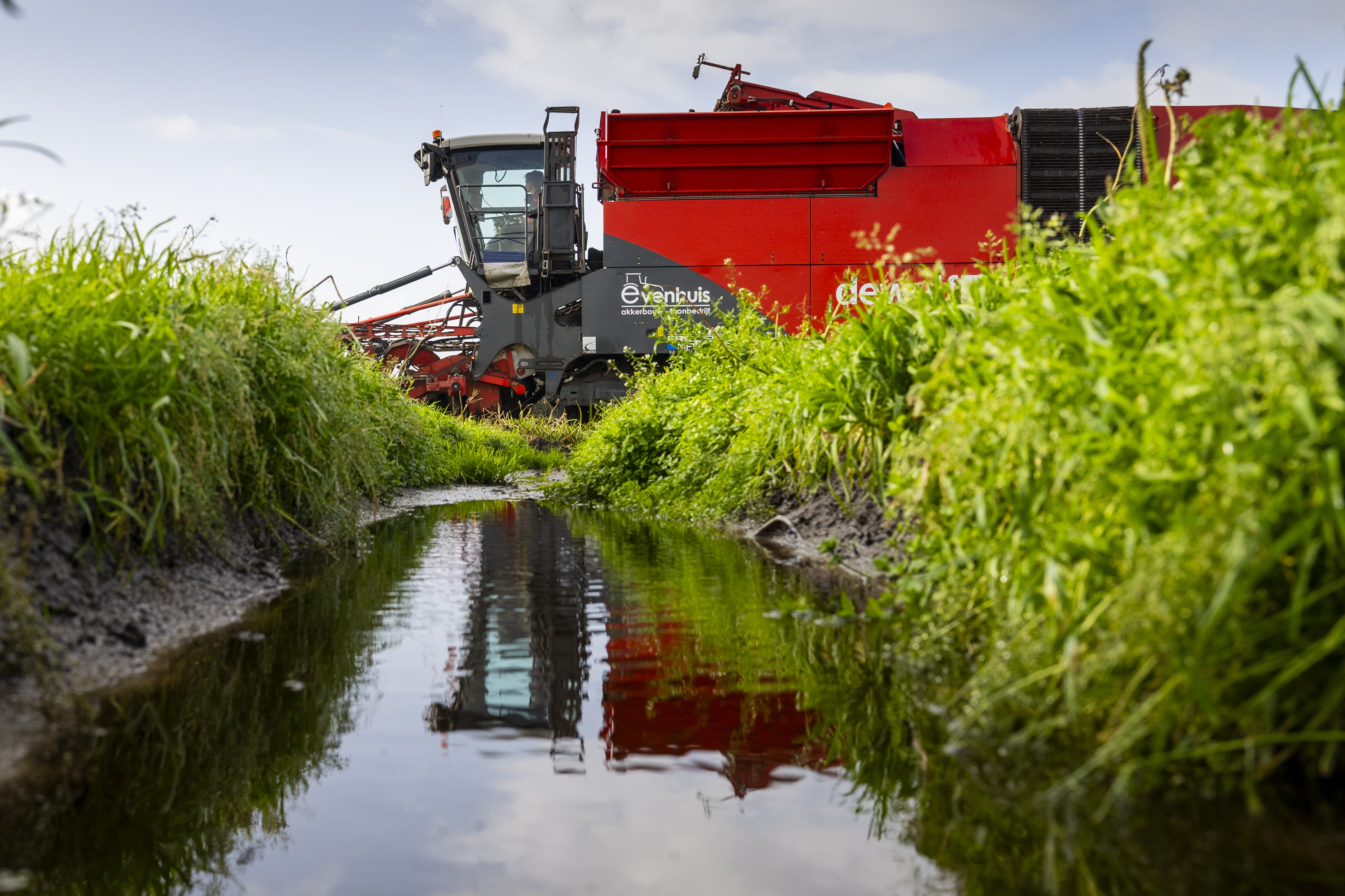 De schade varieert sterk van plaats tot plaats.  Maar de waarheid is dat veel velden onder water staan ​​door de regen.