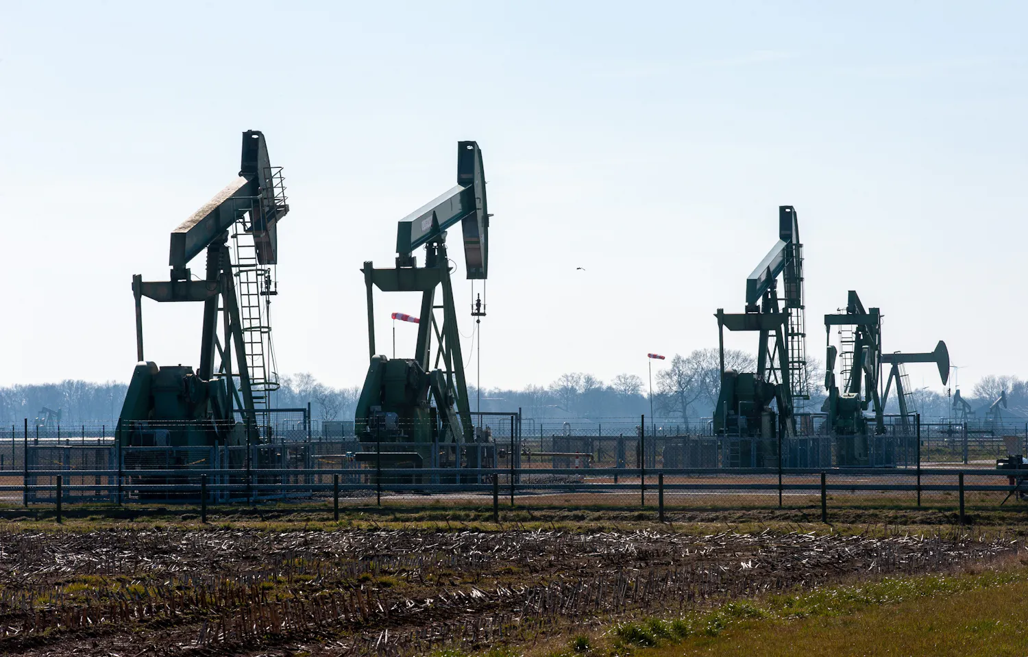 ‘Lokaal geproduceerde olie speelt belangrijke rol in energietransitie’