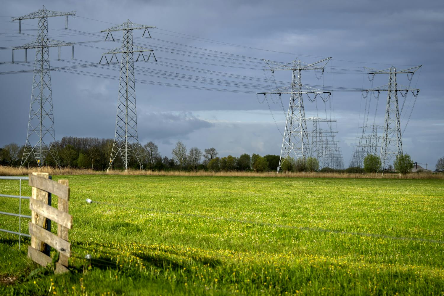 Aleander: 11,000 football pitches needed to expand electricity grid