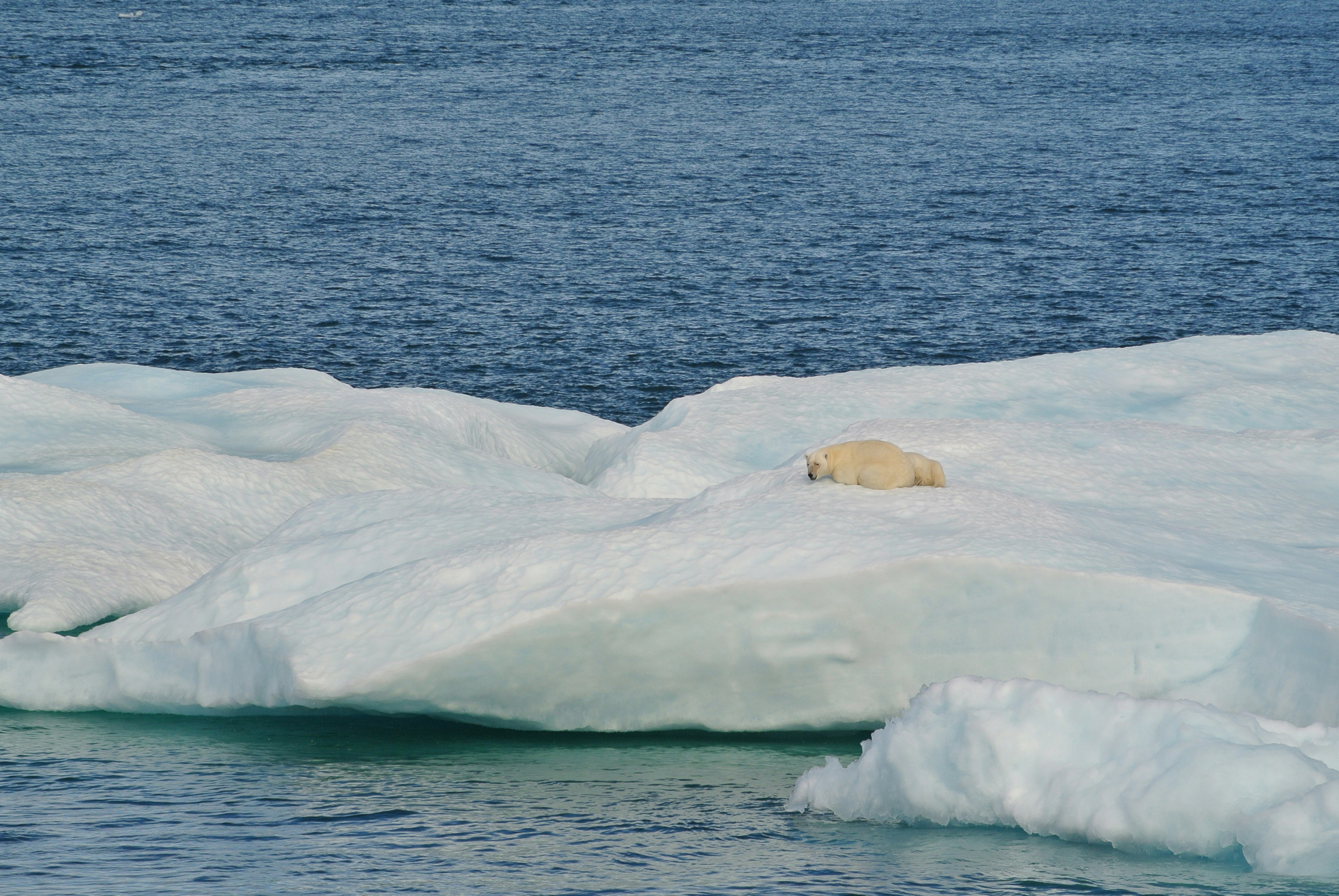 Climate change is causing the 24-hour day to get longer. This is clear from new Swiss research.