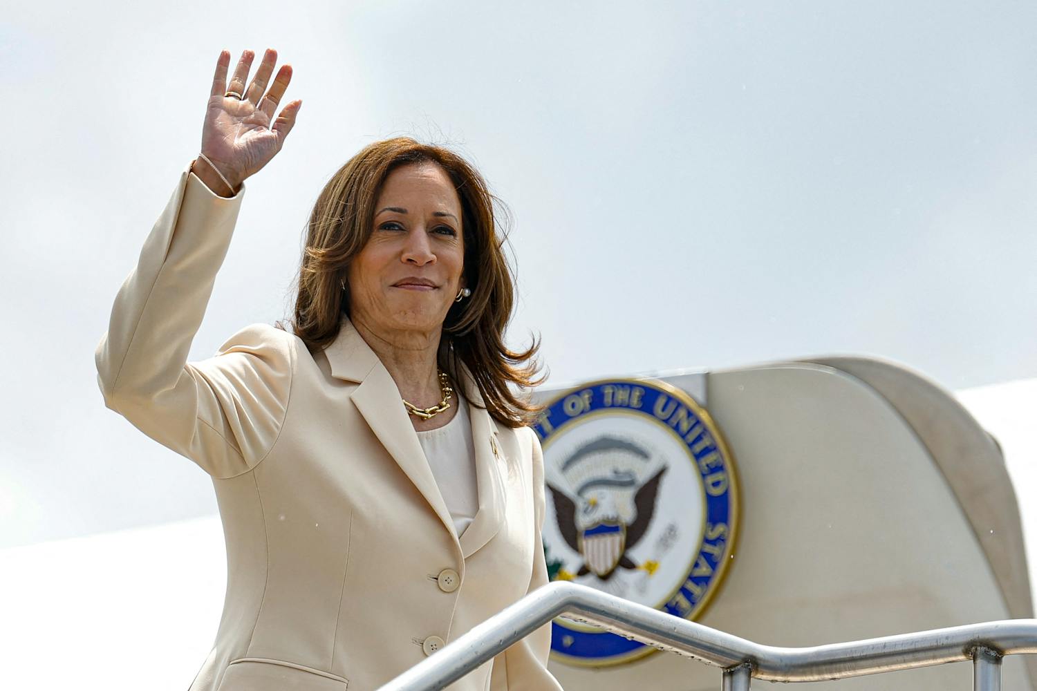 Democrats 'thrilled' over Kamala Harris nomination