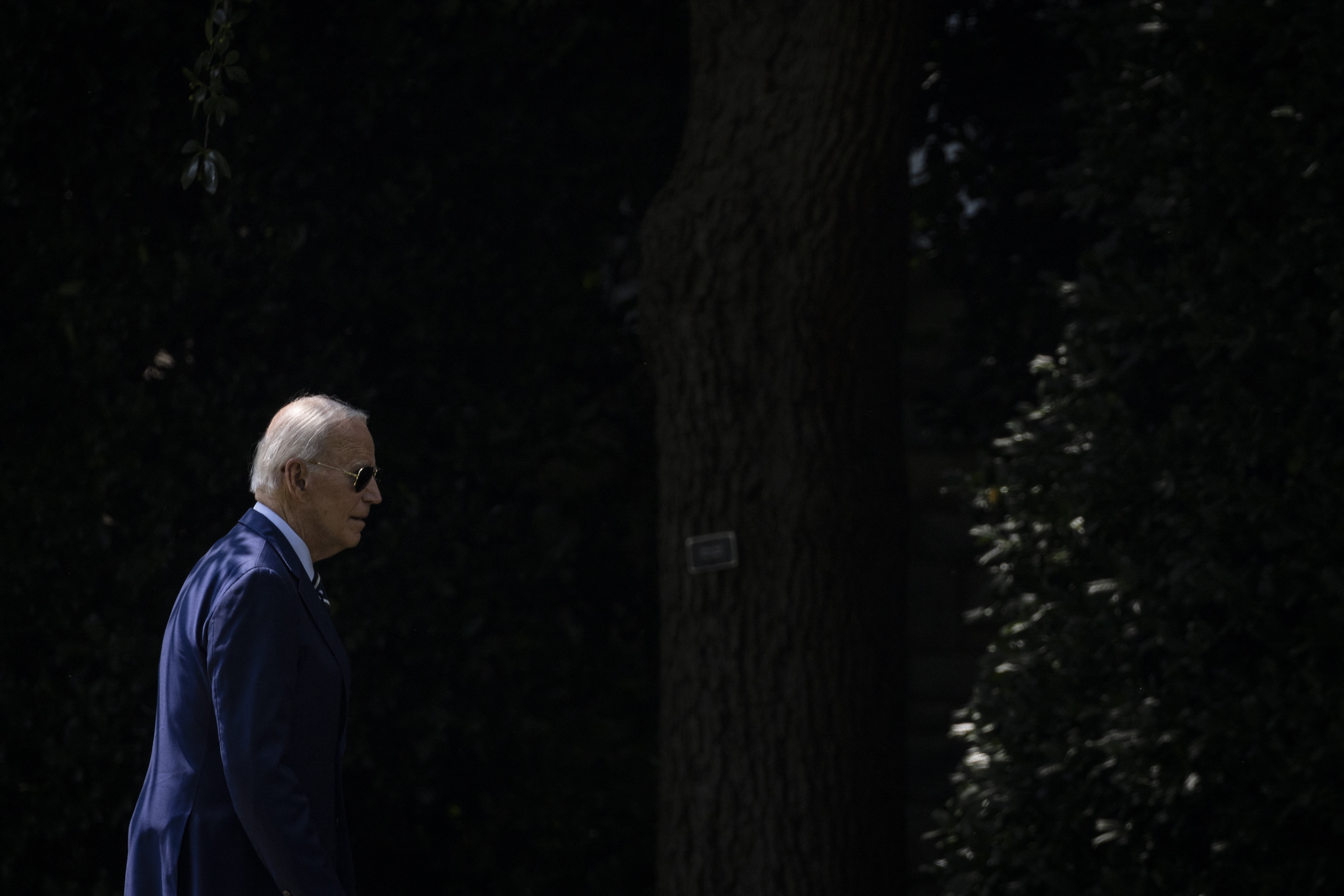 Martin van den Berg, a Middle East expert, says President Biden has been politically written off since appointing Harris as his successor. Photo: SAMUEL CORUM / AFP