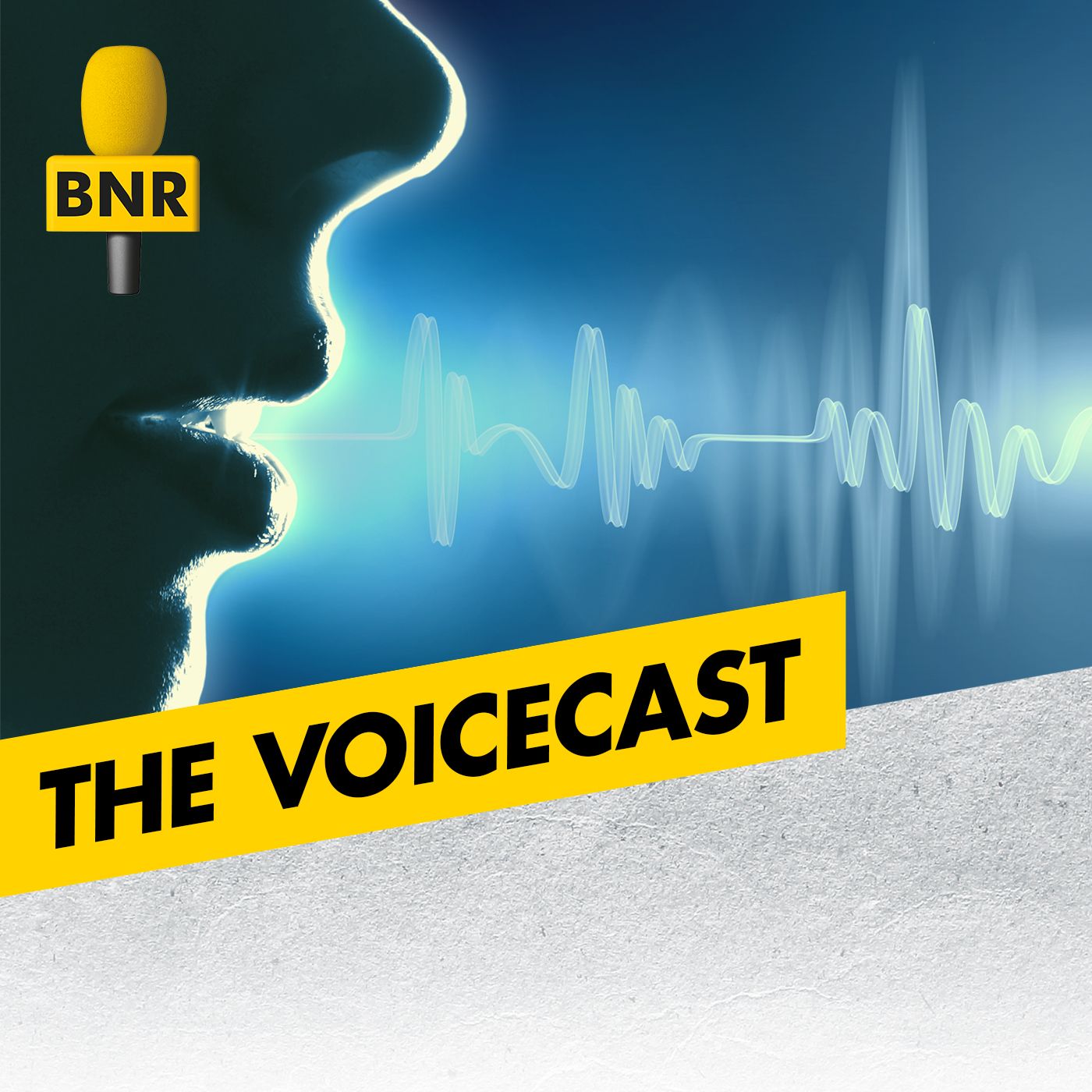 The Voicecast