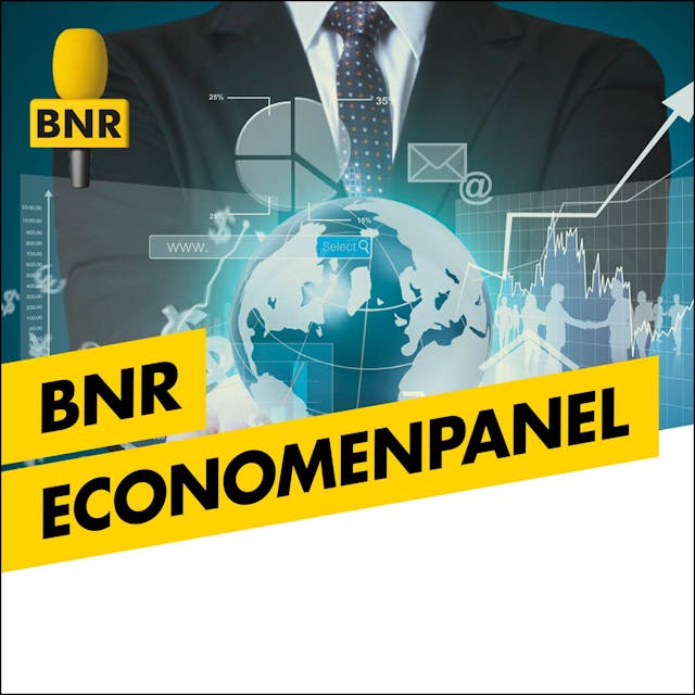 BNR Economenpanel