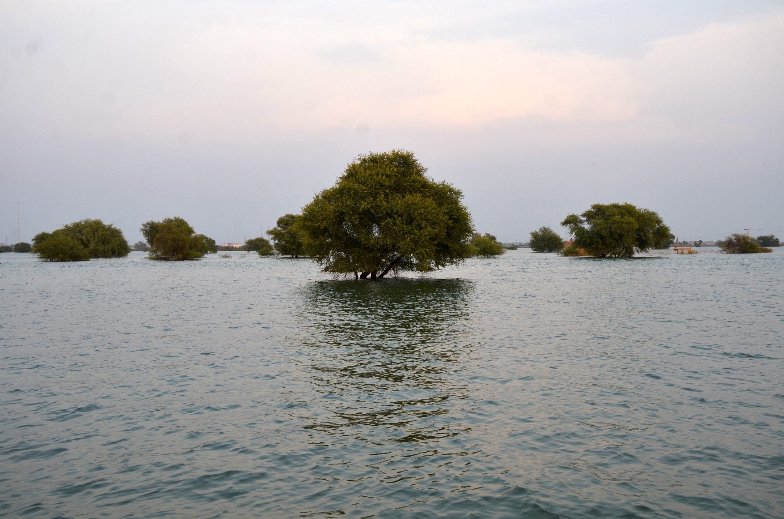 A flooded region in Pakistan.