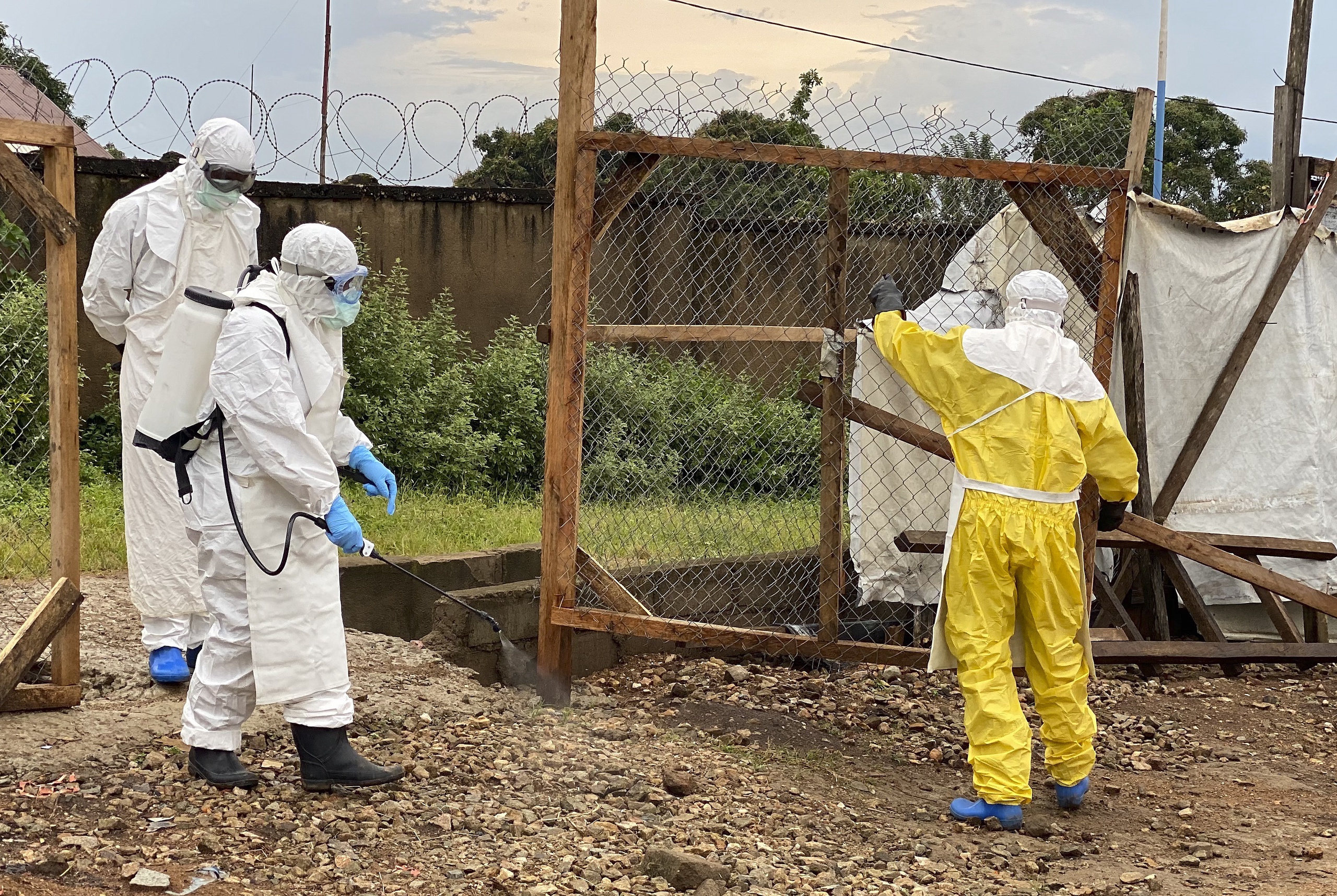 Focolaio Mortale Del Virus Marburg In Ghana