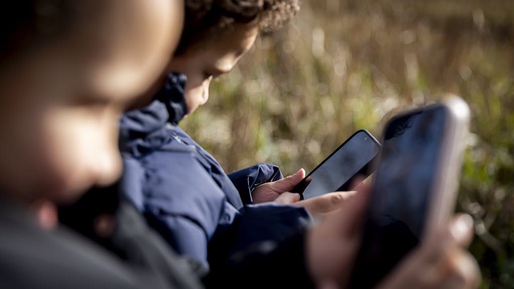 Image for the article: Honderden wetenschappers manen tot terughoudendheid met online leeftijdschecks