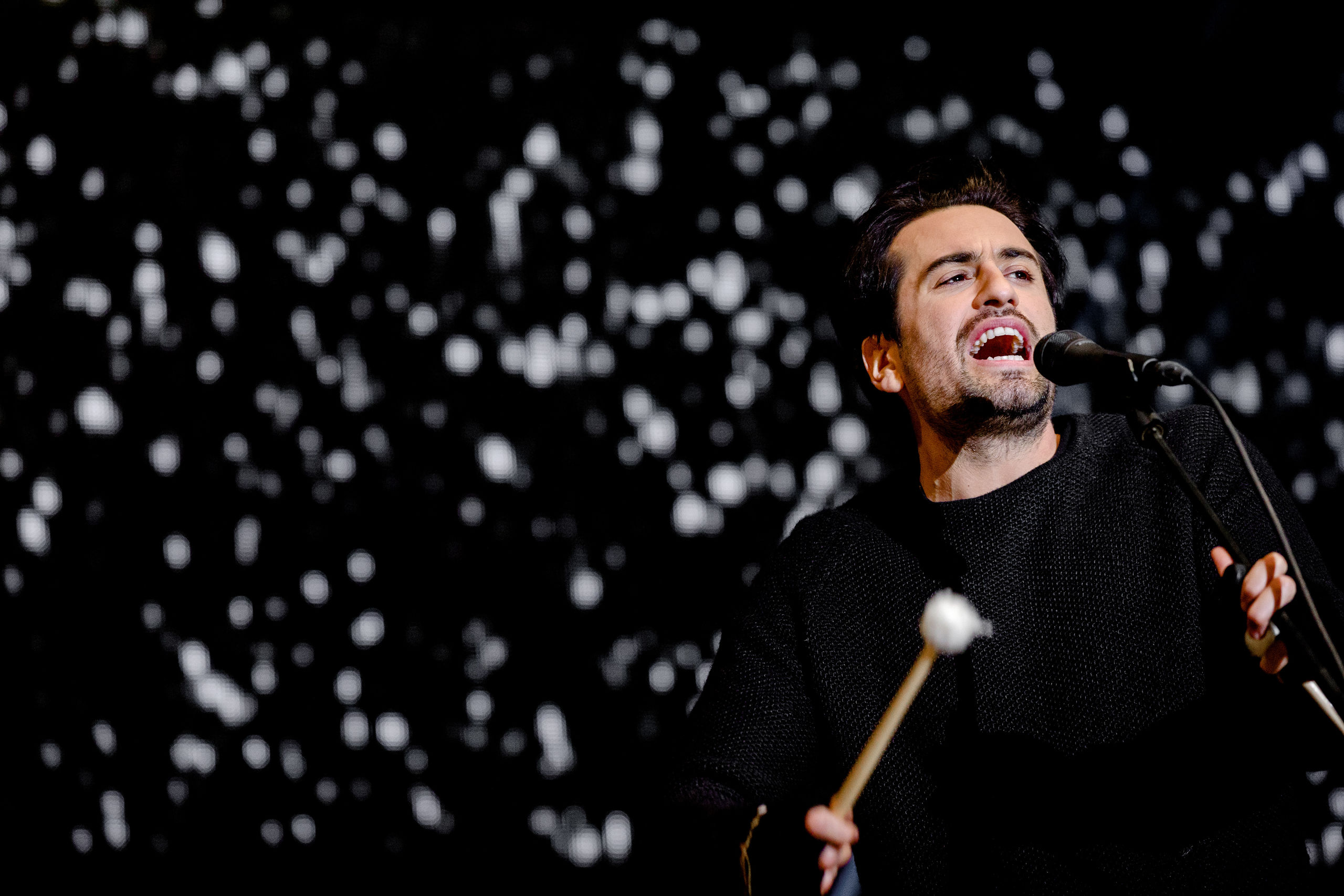 Dotan