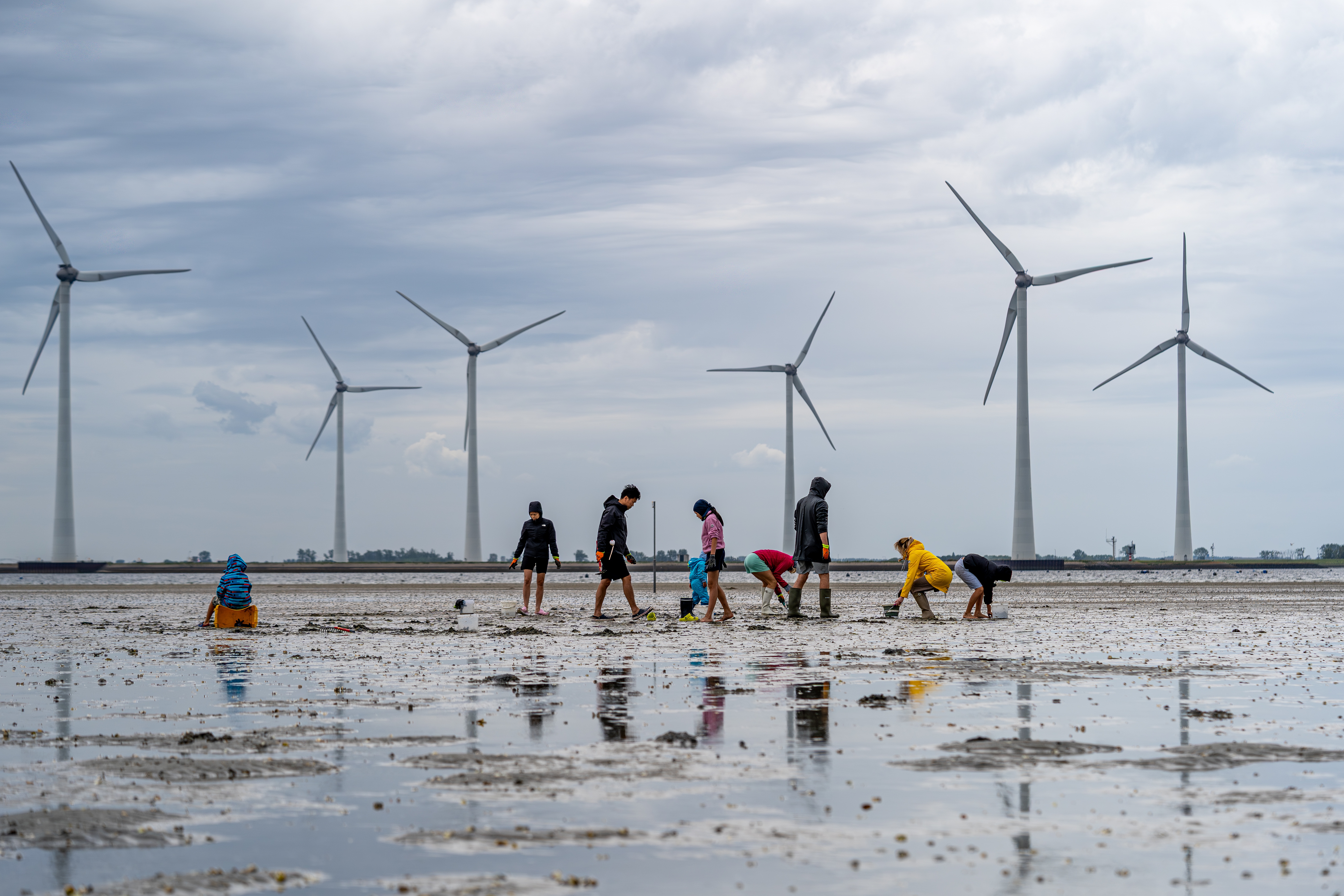 CBS: zonne-energie groeit bijna 19 procent door extra zonuren