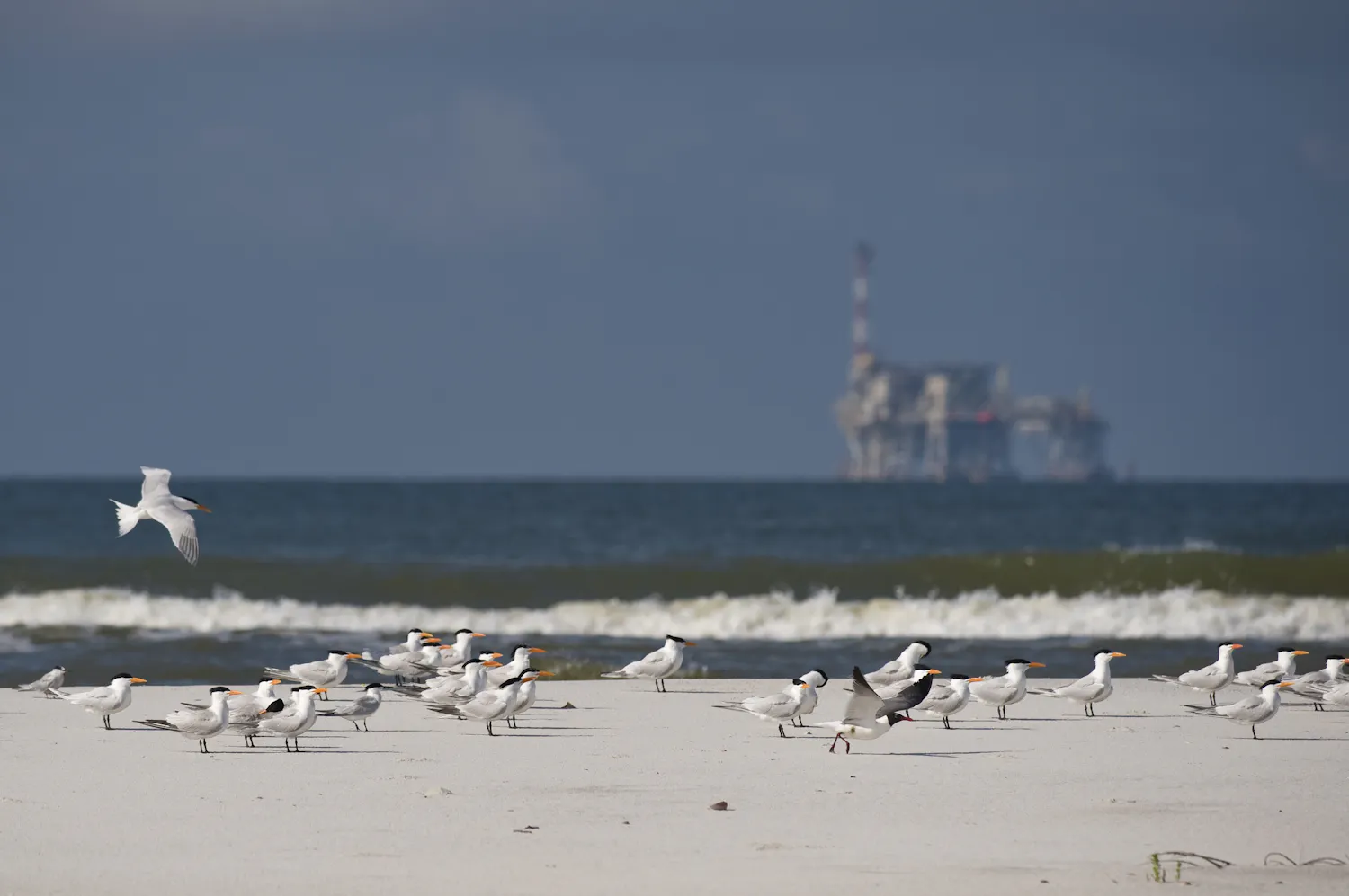 Foto: bnr.nl Orkaan Isaias treft Florida en legt oliewinning plat