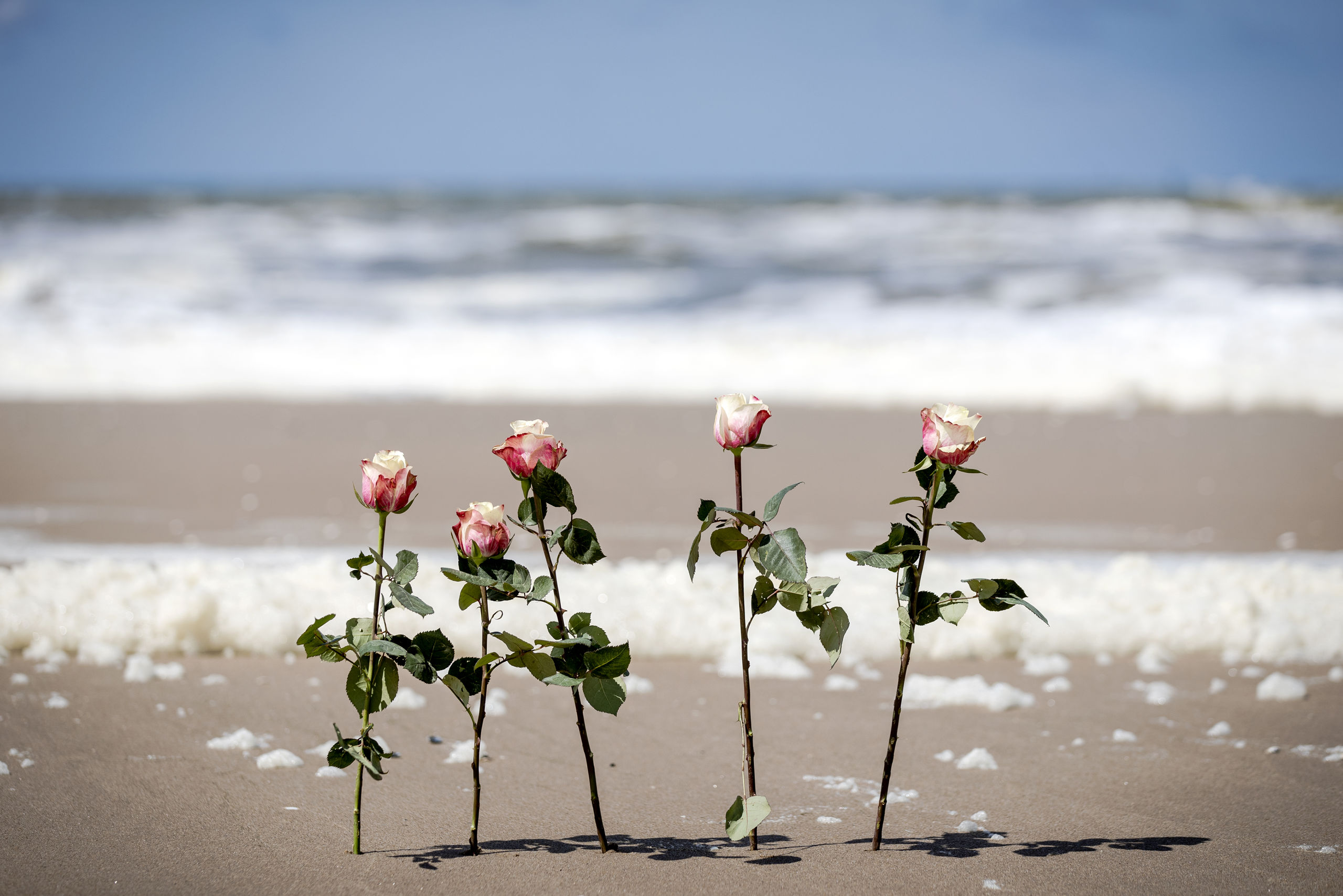 Bloemen tussen het schuim op het strand van Scheveningen. De badplaats is in rouw. Slecht weer heeft vijf surfers het leven gekost. ANP SEM VAN DER WAL