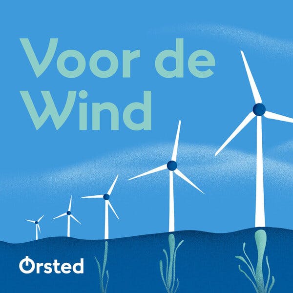 Hoe kan uitbouw van offshore wind samengaan met natuurbehoud – en herstel?