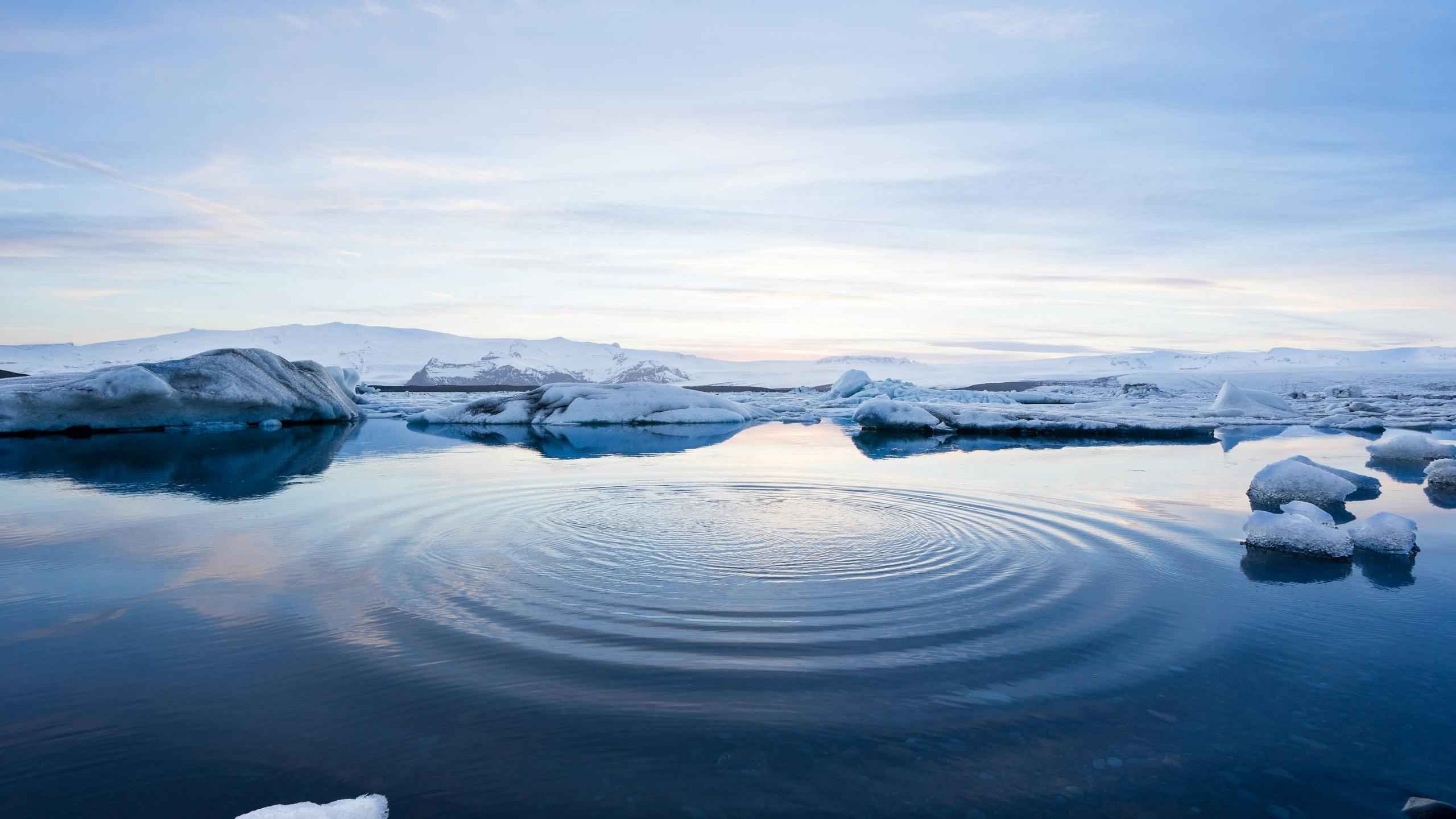 Nature: Noordpool in 2030 ijsvrij