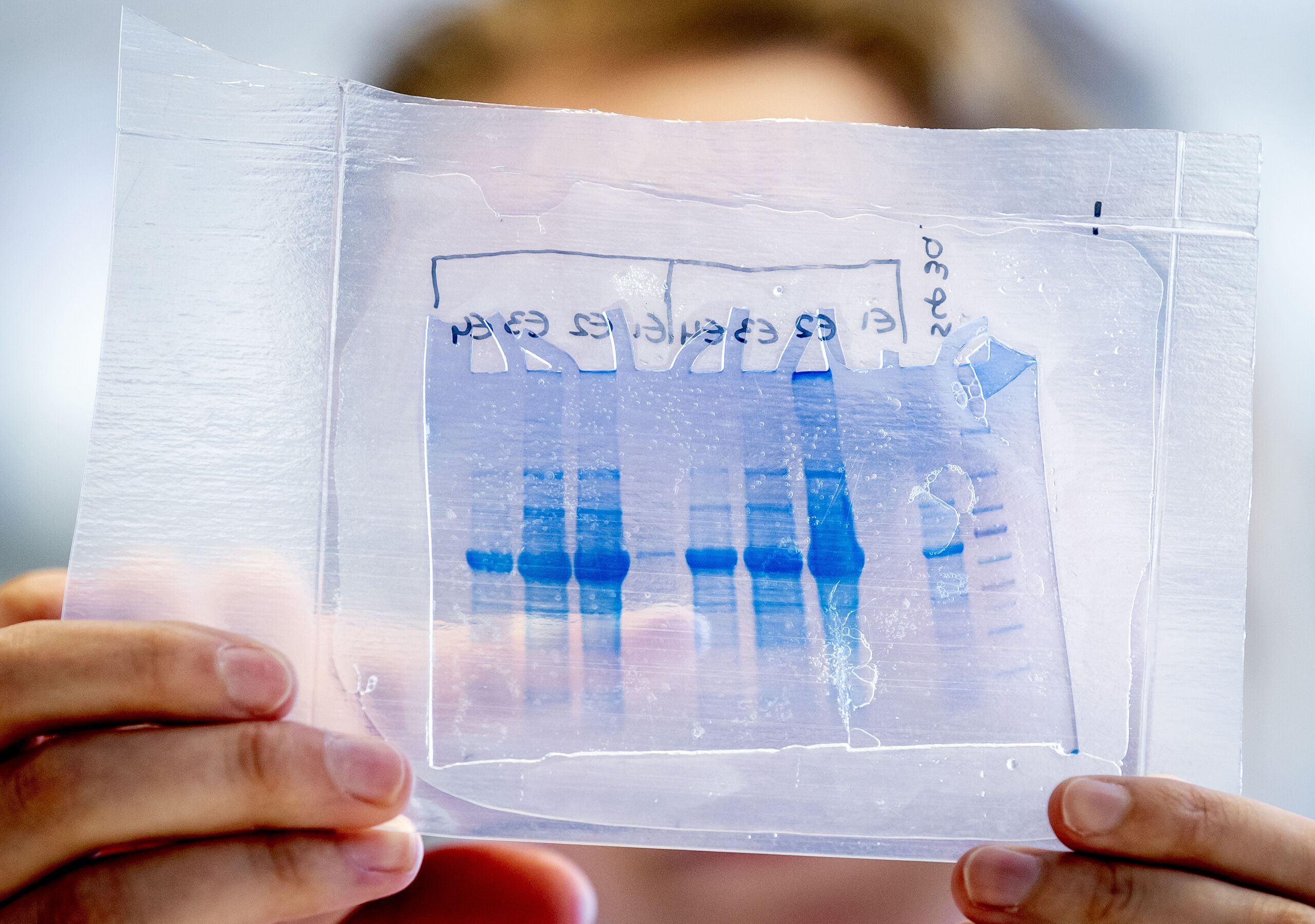 Laboratorium-medewerker doet onderzoek