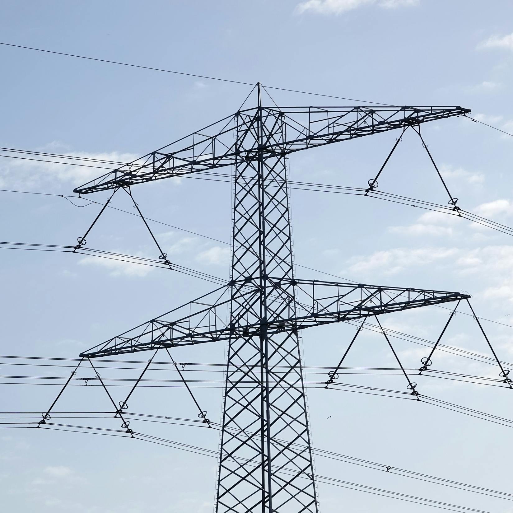 Overvol elektriciteitsnet noopt bedrijven tot delen van stroom