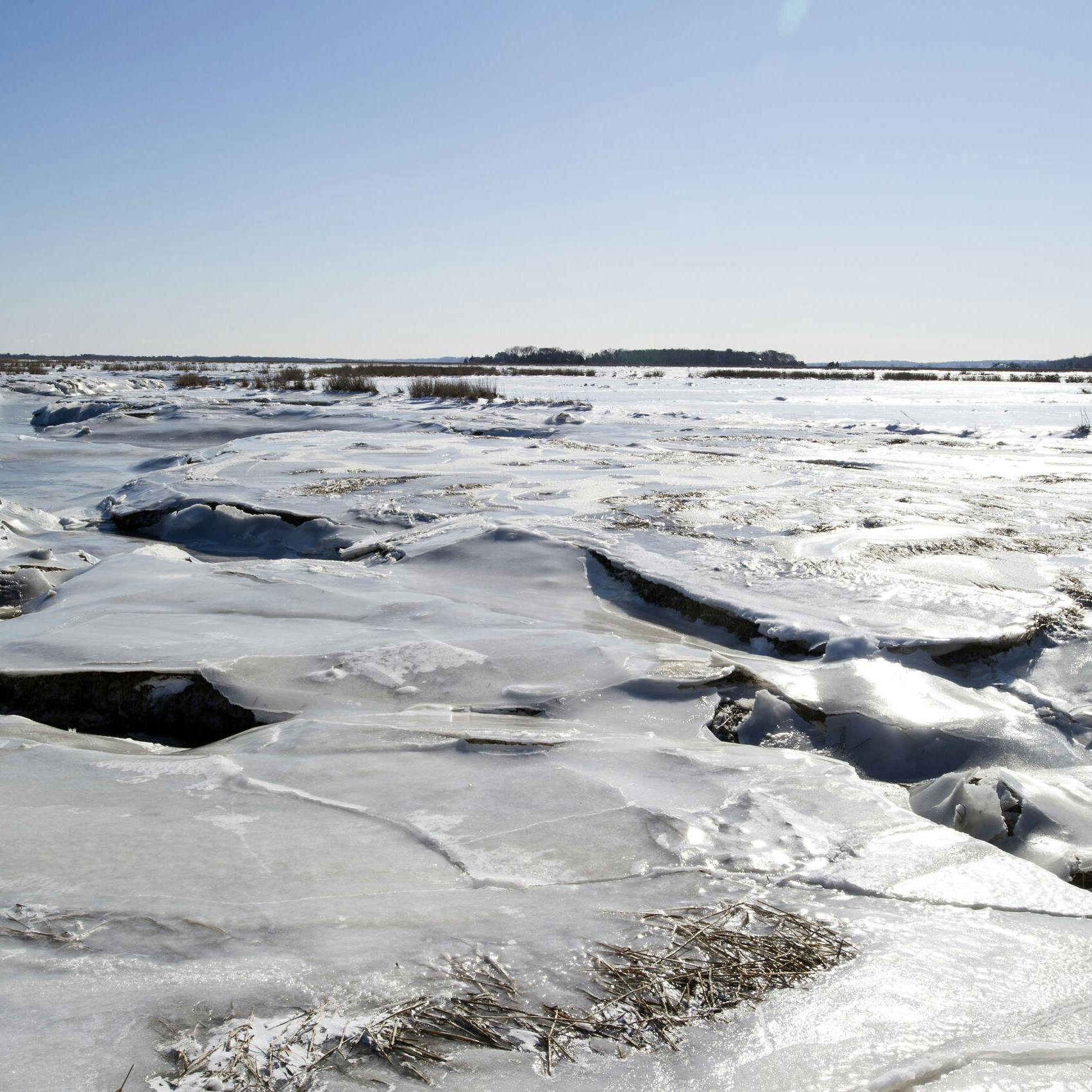 Polar vortex brengt ons mogelijk strenge winter