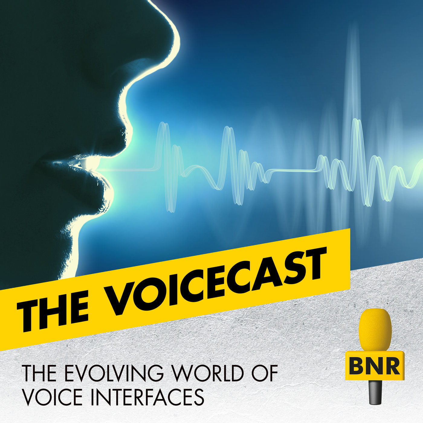 The Voicecast, a podcast on voice interfaces with your hosts Sam Warnaars and Maarten Lens-FitzGerald