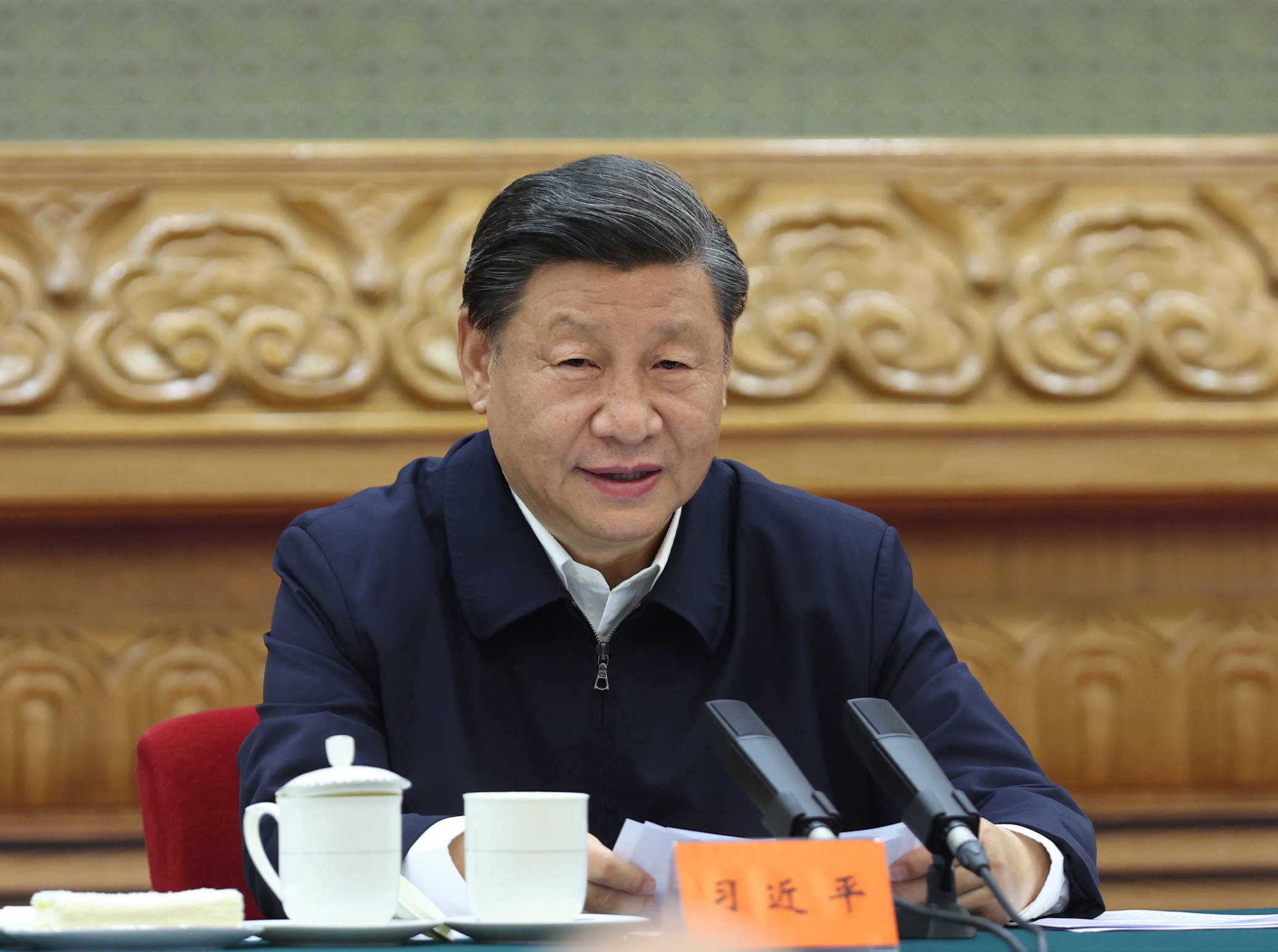 De Chinese president Xi jinping
