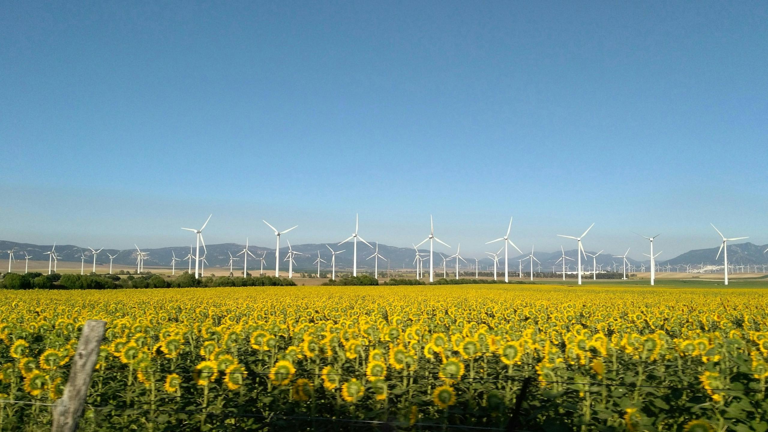 Spanje moet jaarlijks miljarden investeren om klimaatdoelen te halen