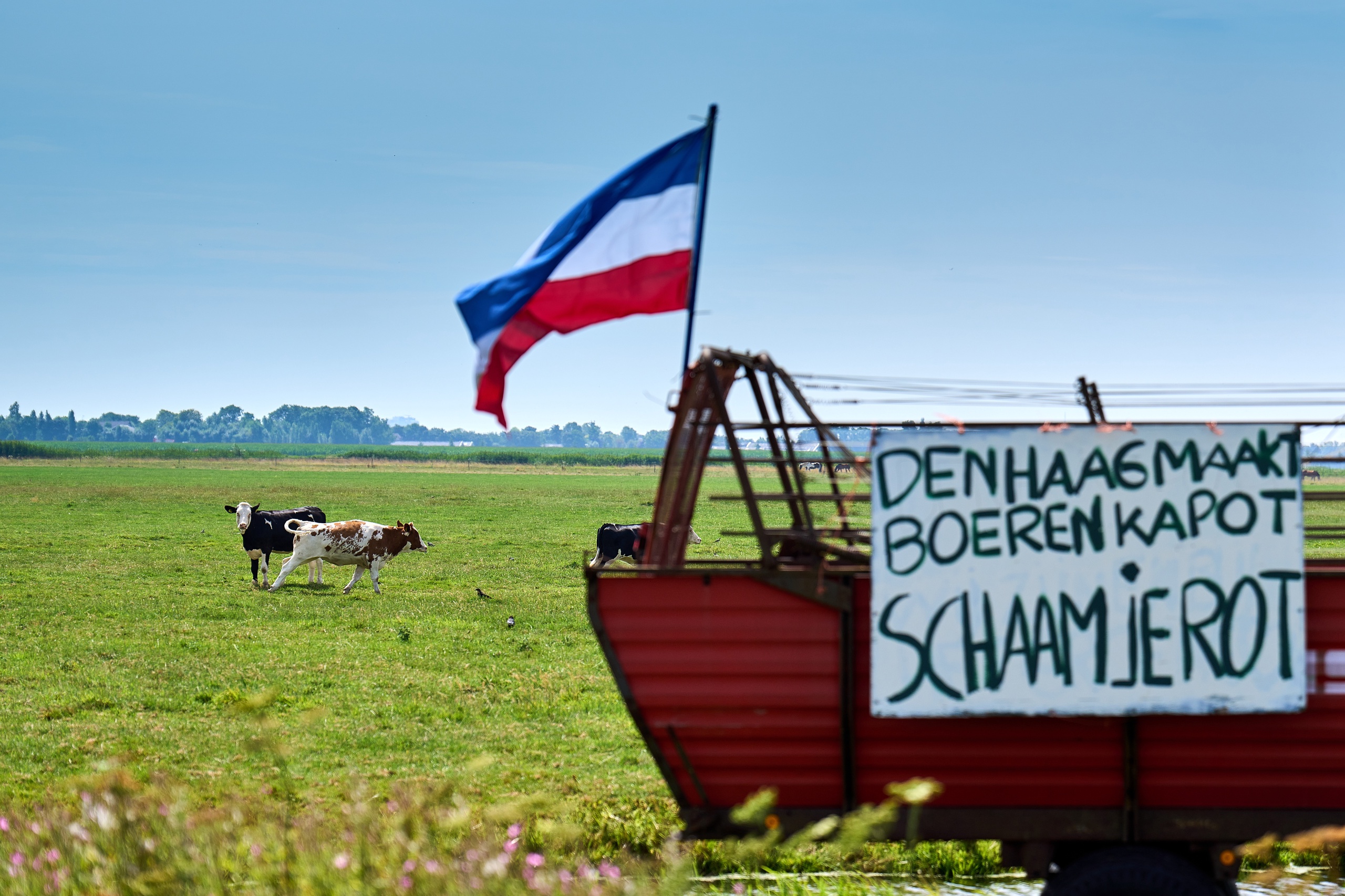 Protestborden van boeren tegen het Stikstofbeleid van het kabinet in een weiland in Zoeterwoude.