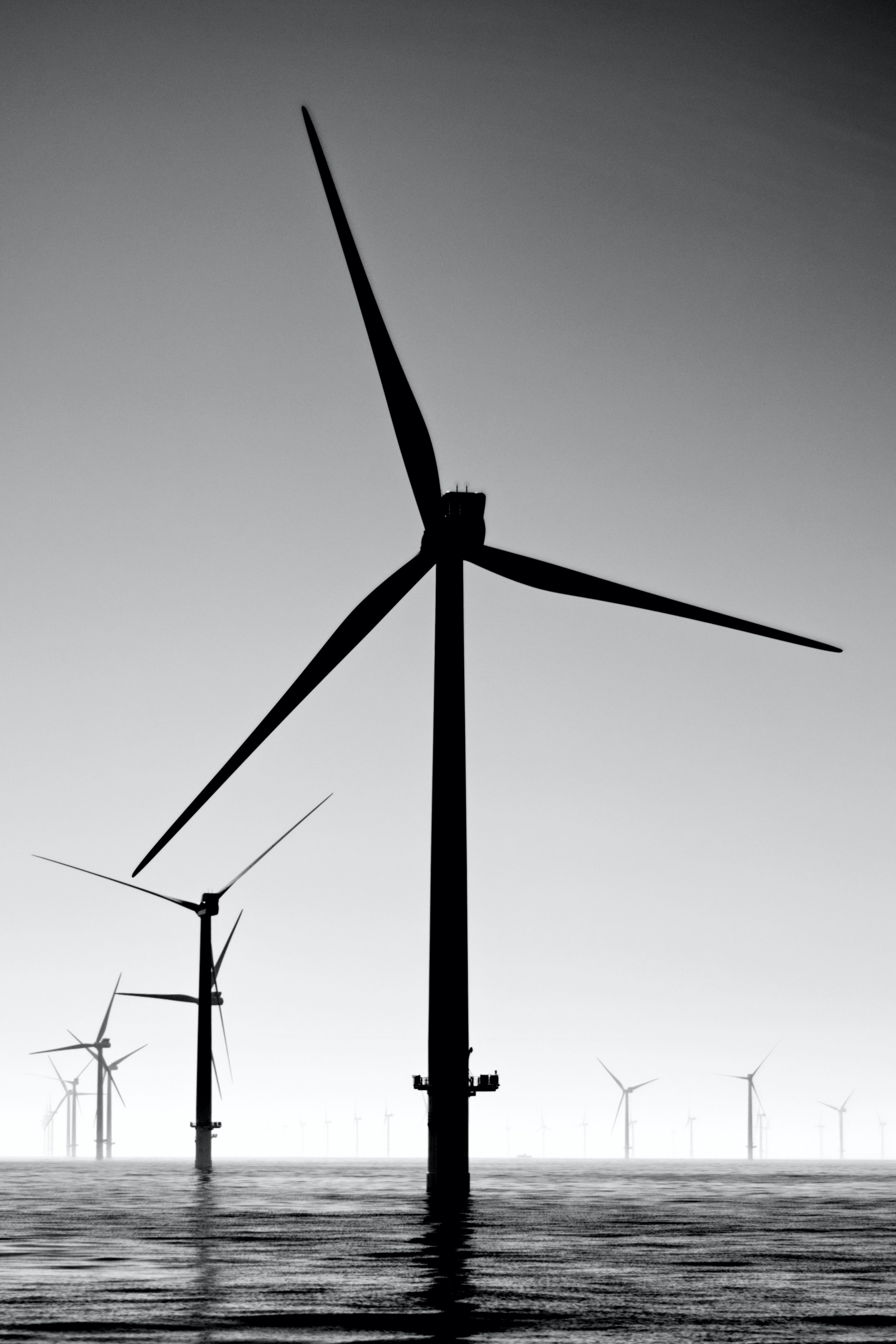 Het is het nog niet zeker of de energie die wordt opgewekt door windparken op zee in 2030 winstgevend zal zijn. Dat stelt onderzoeksbureau TNO.