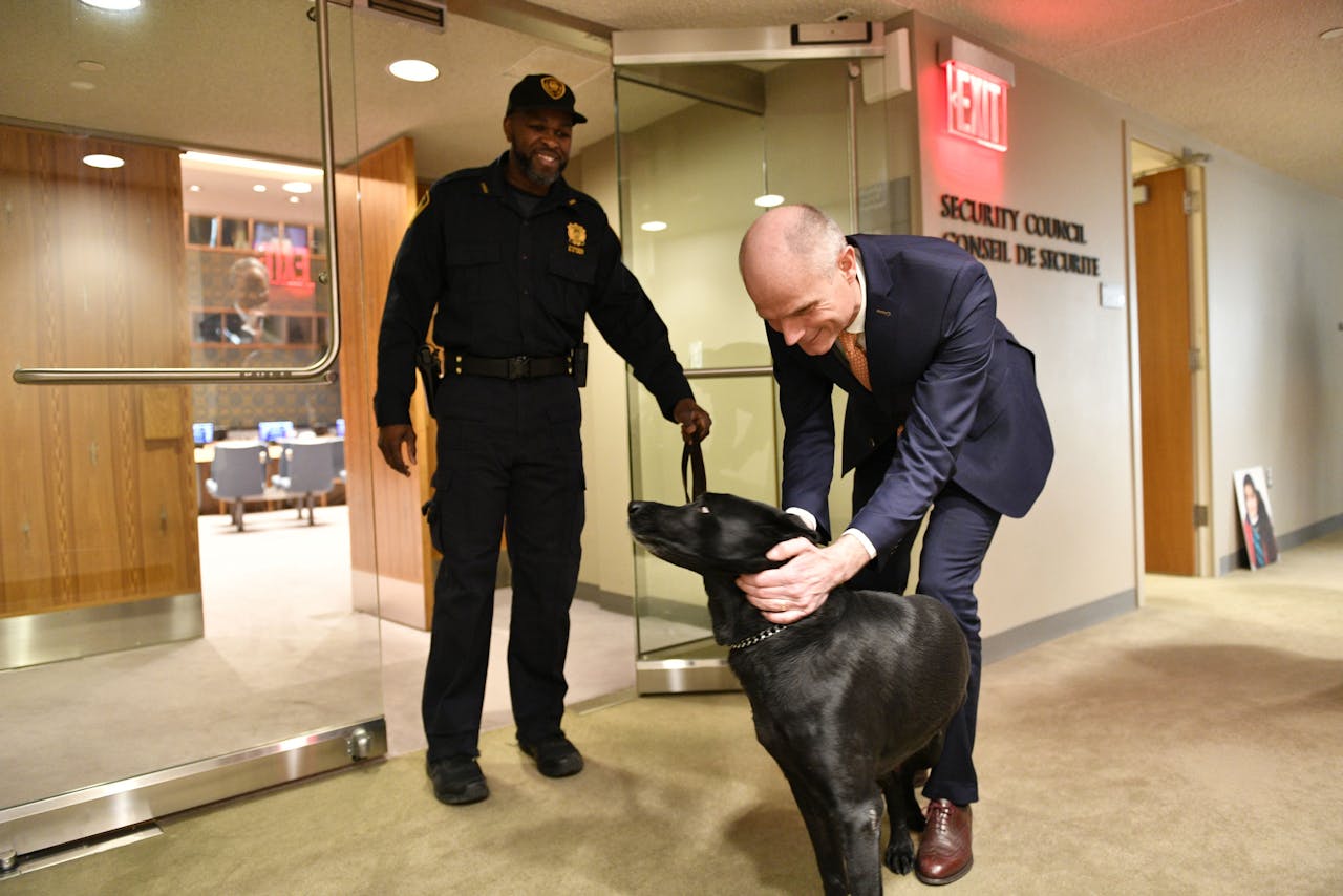 Minister van Buitenlandse Zaken Stef Blok maakt kennis met de beveiligingshond van de VN Veiligheidsraad.