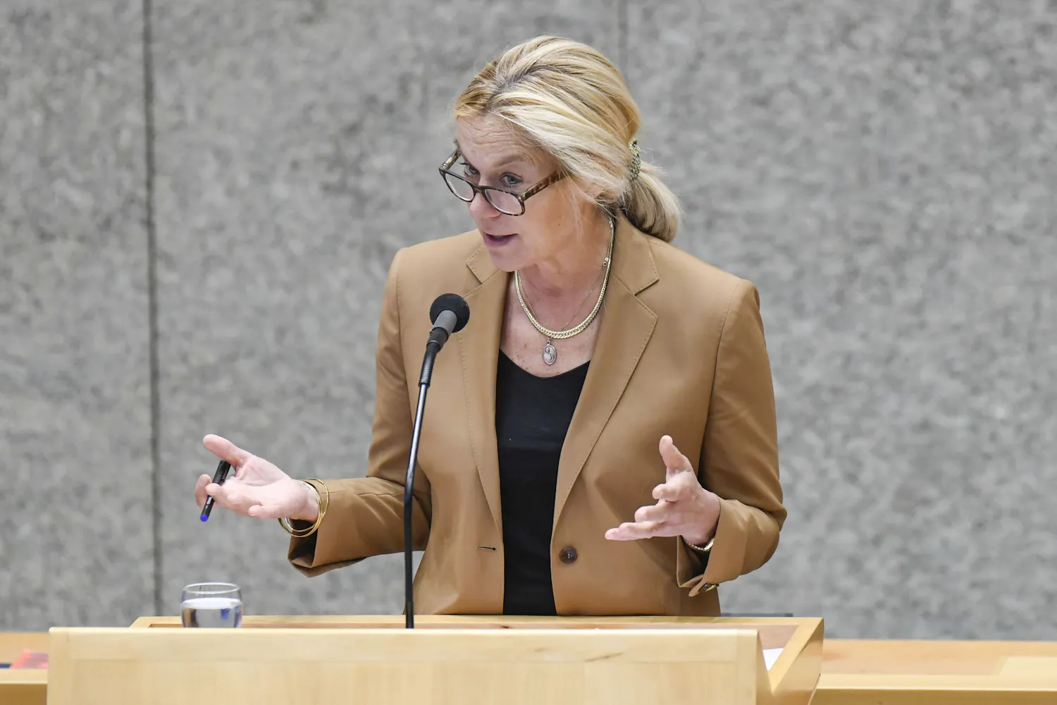 Kaag stopt als minister voor Buitenlandse Handel en