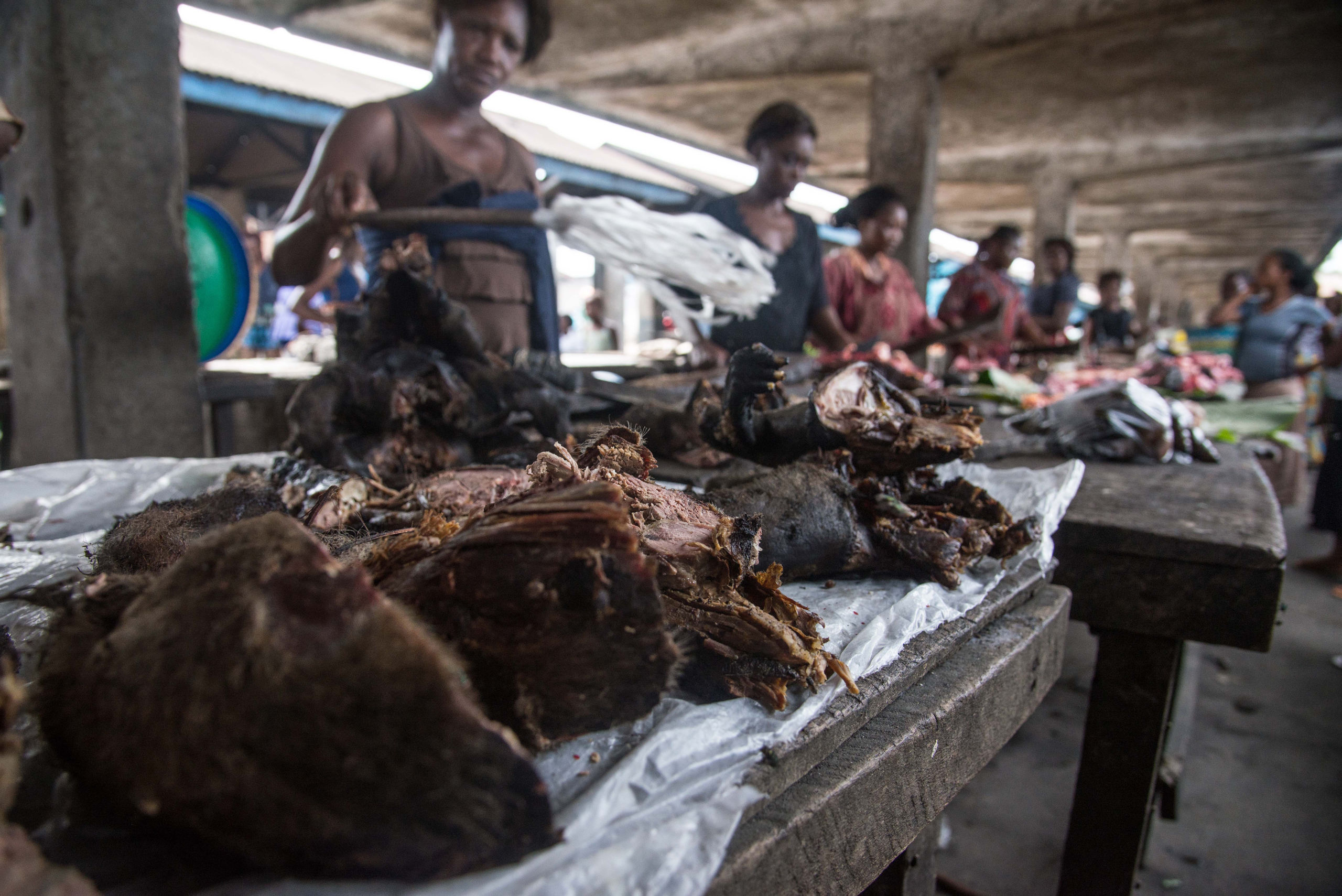 Markt voor bush meat in Congo