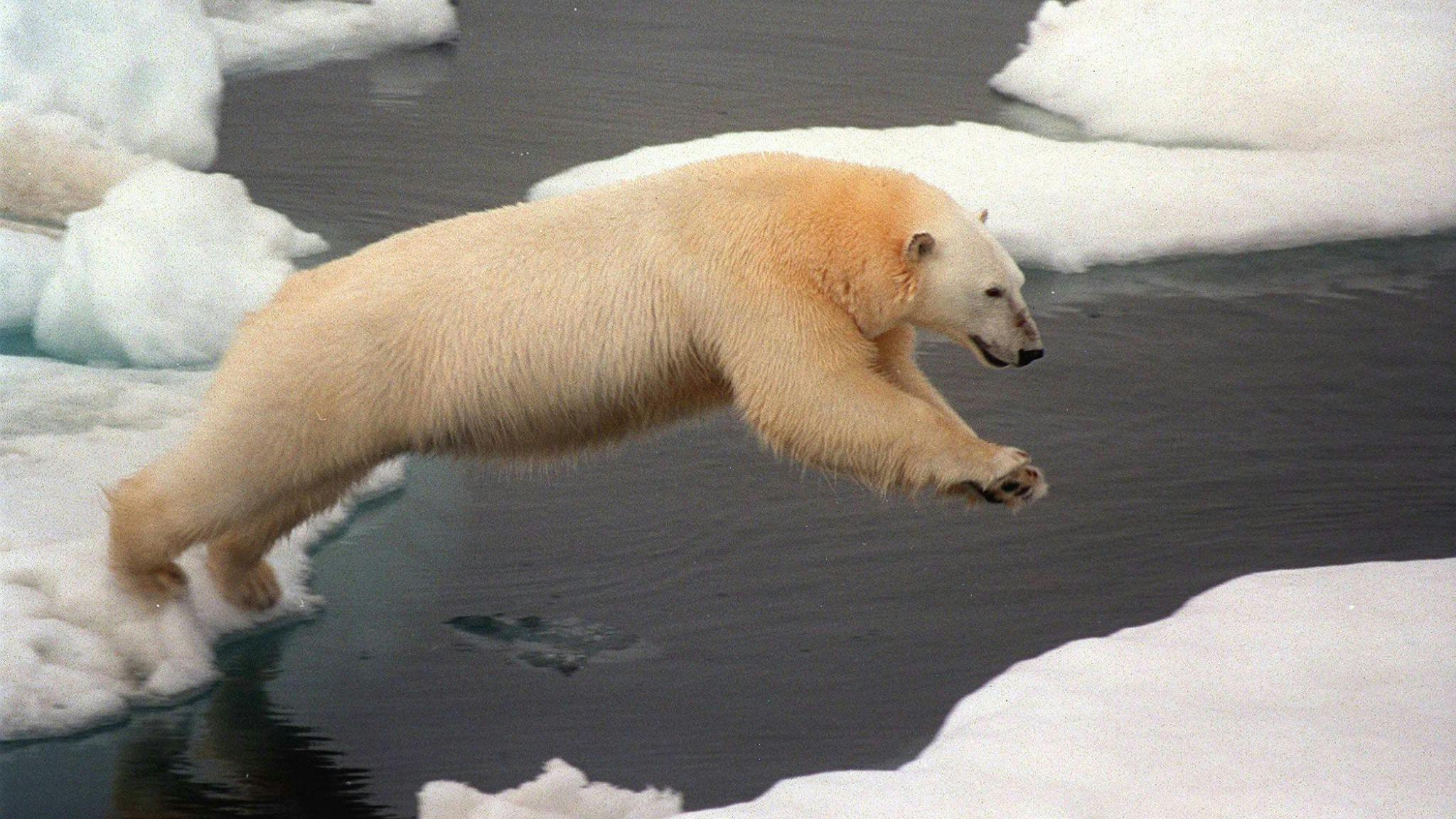 EPA PHOTO/GREENPEACE
