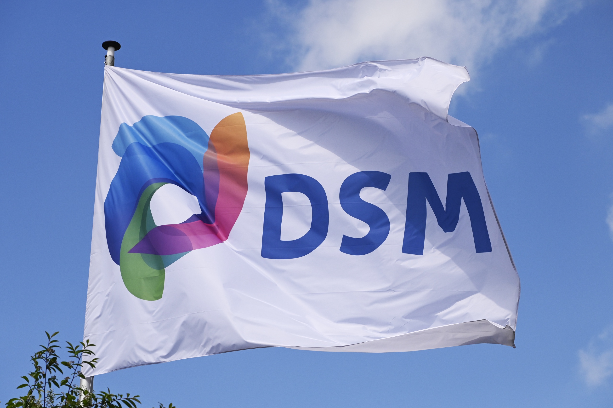 Het aandeel van DSM is vandaag flink gekelderd omdat de voedingsmiddelenfabrikant de fusie met het Zwitserse Firmenich uitstelt. Aandeelhouders konden hun aandelen eerst maar tot eind deze maand aanbieden, maar die termijn is nu verlengd naar 11 april.