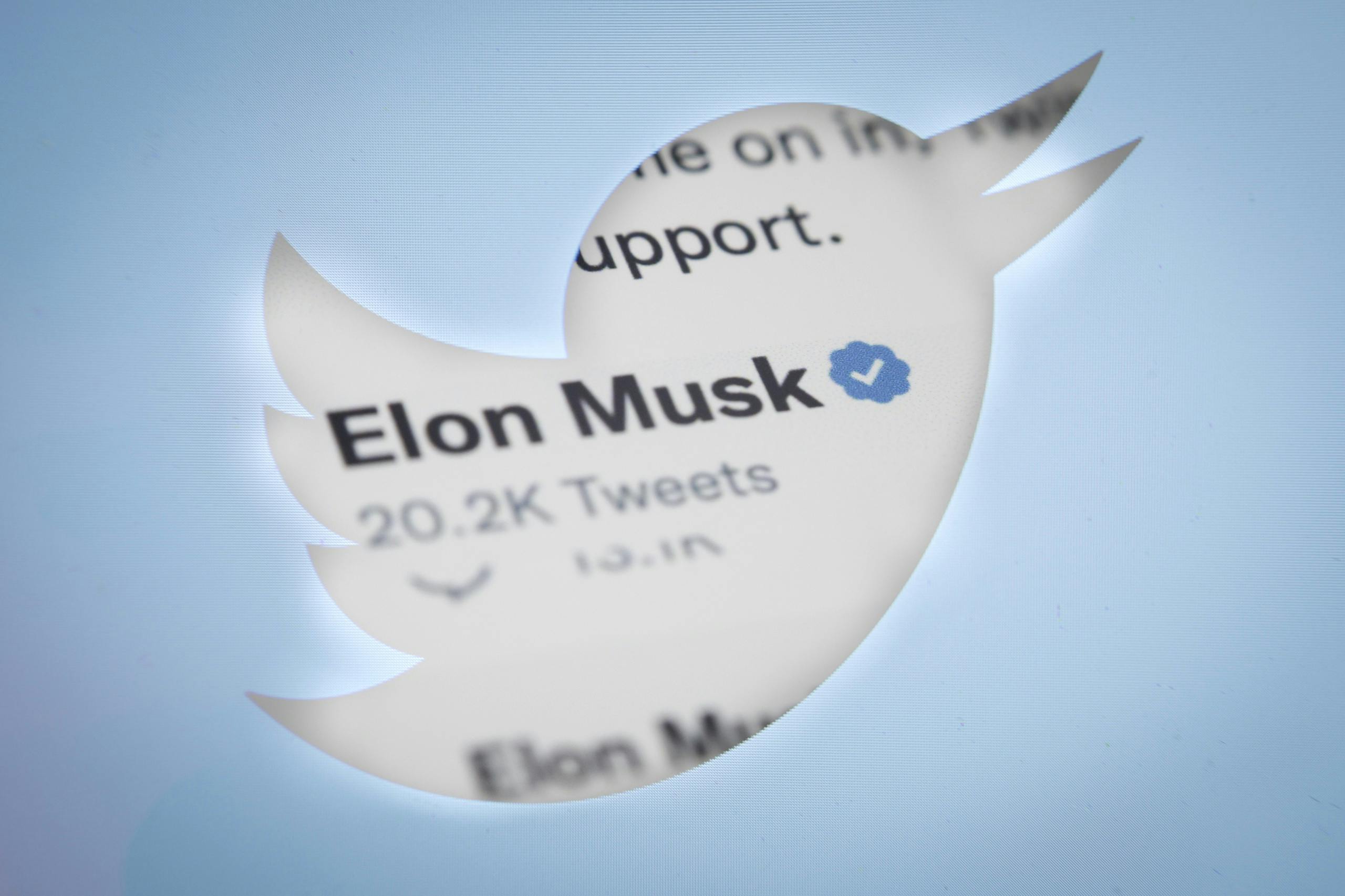 Elon Musk fa pagare di nuovo gli utenti di Twitter per le zecche blu