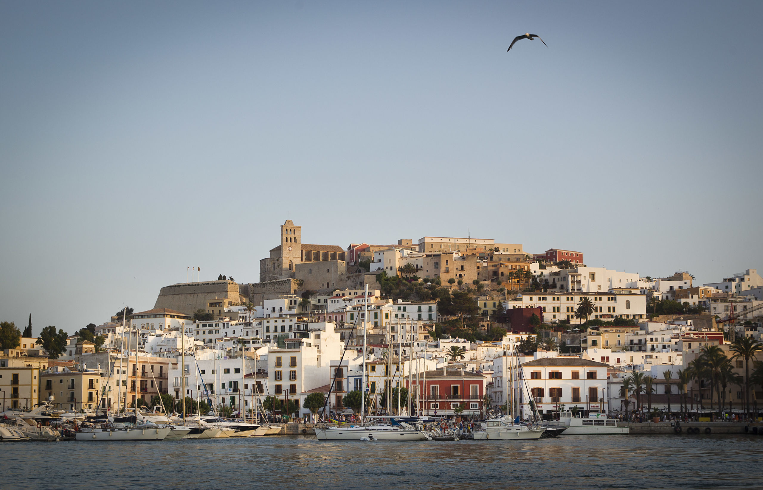 Ibiza in de zon