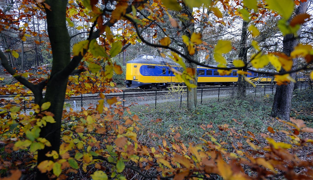 2010-11-08 00:00:00 SOEST - Een trein raast door het herfstlandschap. Door vallende blaadjes in combinatie met nattigheid wordt het spoor glad. Dat zorgt ervoor dat treinen langzamer optrekken en moeilijker afremmen. Dit kan leiden tot vertraging of treinuitval. ANP XTRA LEX VAN LIESHOUT