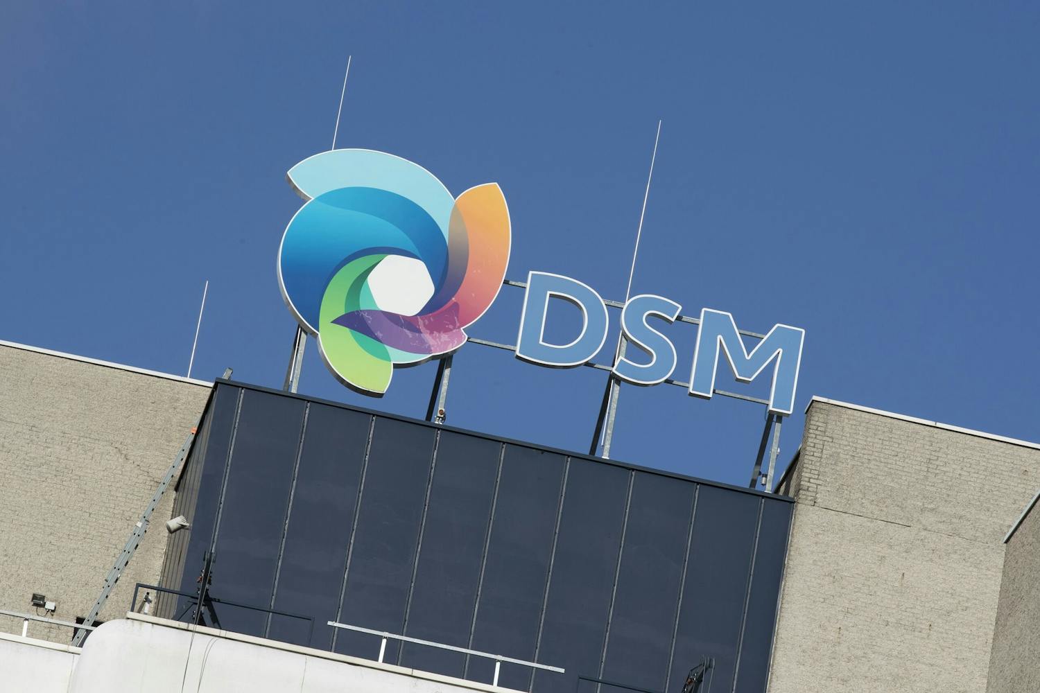 Vierde kwartaal DSM sterker dan verwacht BNR Nieuwsradio