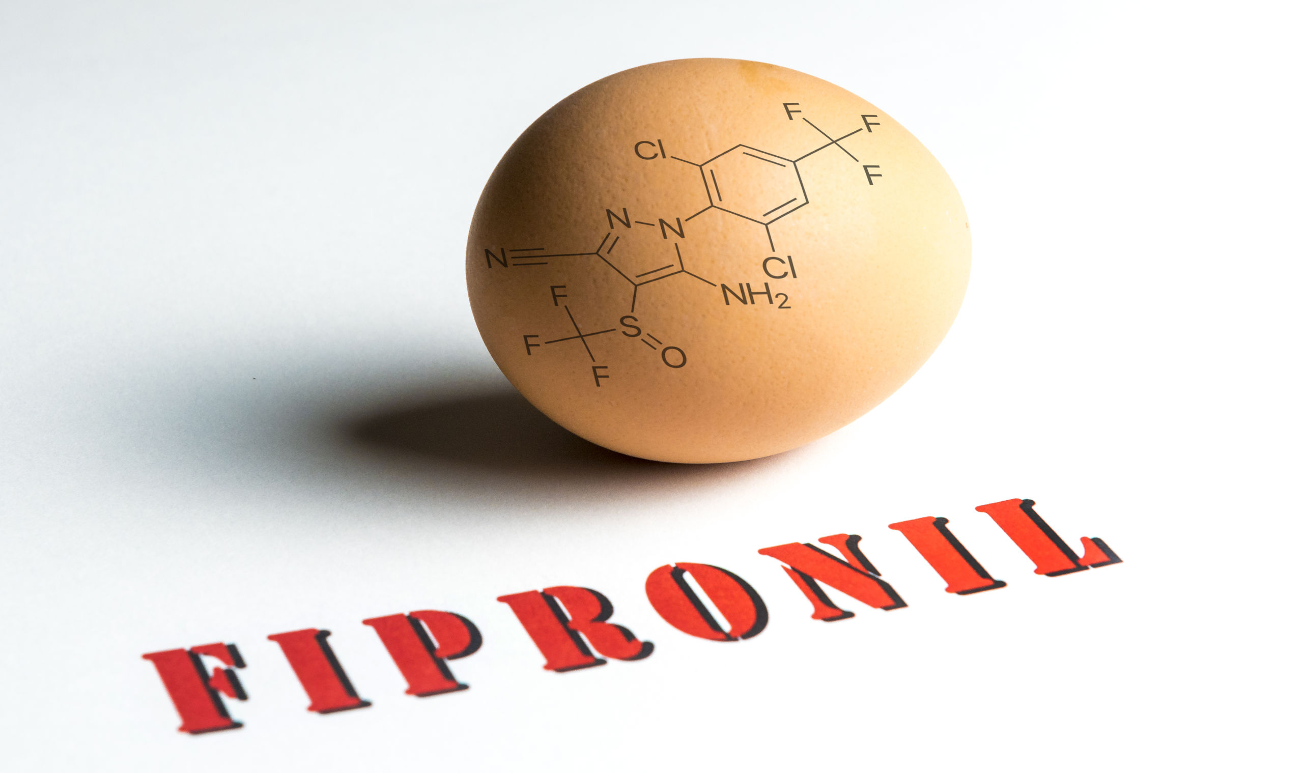 In zeker vijftien landen van de Europese Unie zijn met fipronil besmette eieren teruggevonden. De Europese Commissie wil een overleg over de eiercrisis. 