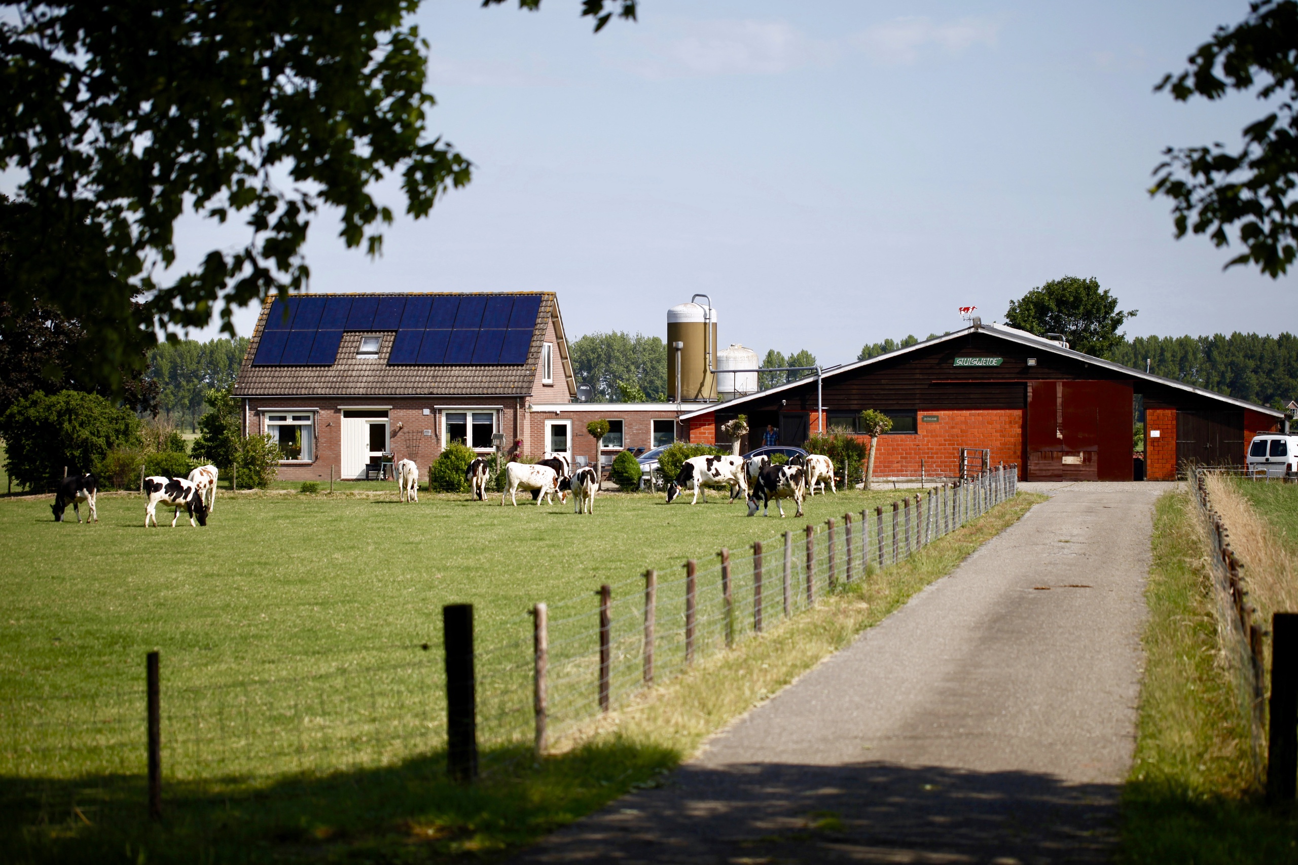 Provincies moeten de vergunningen intrekken van veertig veehouderijen waarvan duidelijk is dat ze veel stikstof uitstoten die in natuurgebieden terechtkomt. Dat heeft milieuorganisatie MOB geschreven in een brief aan de provincies Gelderland, Noord-Brabant, Overijssel en Limburg.