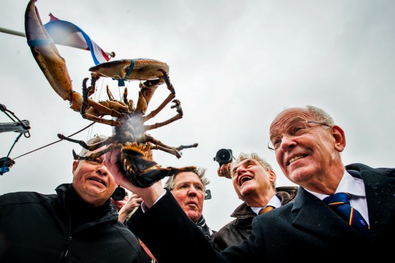 Voormalig minister Gerrit Zalm met een kreeft uit de Oosterschelde. Foto ANP