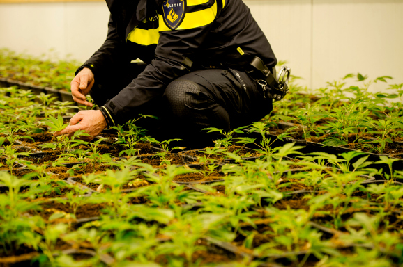 Foto: ANP