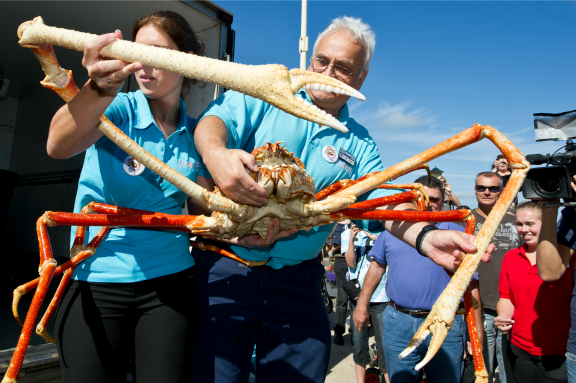 Crabzilla, de grootste levende krab die ooit te zien was in Europa, arriveerde in 2010 bij Sea Life in Scheveningen. Crabzilla is een Japanse reuzenspinkrab van ongeveer 40 jaar oud met een spanwijdte van vier meter. In toekomst krijgt dit soort dieren last van zuurder wordende oceanen.