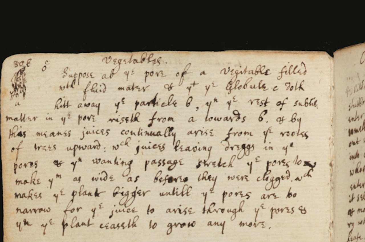 'Vegetables', een fragment uit het aantekeningenboek van Isaac Newton uit 1661–65. Links bovenaan tekende hij schematische hoe de verdamping van water in de bladeren, water naar de toppen van een boom zuigt. (Afbeelding: Syndics of the Cambridge University Library)