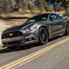 Copy of mustang.jpg