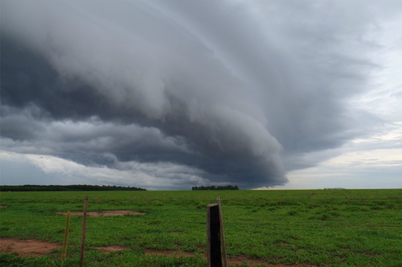 Climate change, Brazil (c) Marimon