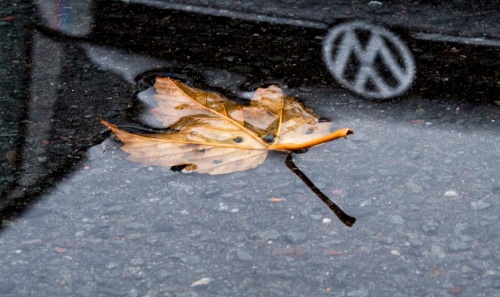 EPA