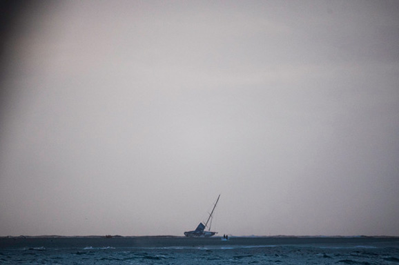 Foto: Amory Ross/Team Alvimedica/Volvo Ocean Race