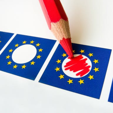 'Nederland moet op zondag naar de stembus voor EU'